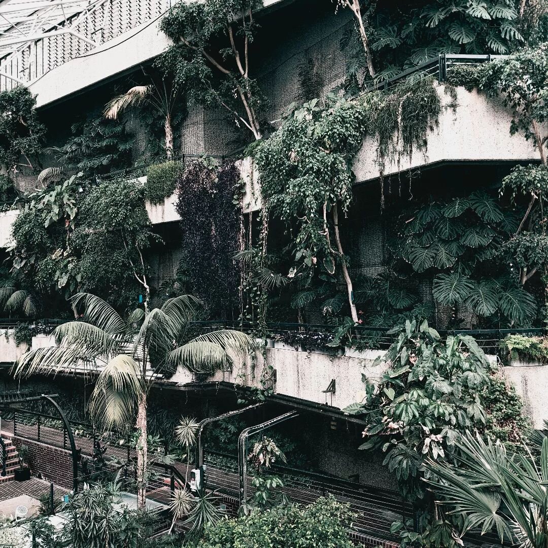 Brutal rainforest.

From shingle beach to city streets our tshirts are made for adventuring no matter your environment. 

#adventure #barbican #rainforest #london #gloommoon #launch #gloom #moon #sustainablefashion #ecofriendly  #marineconservation #