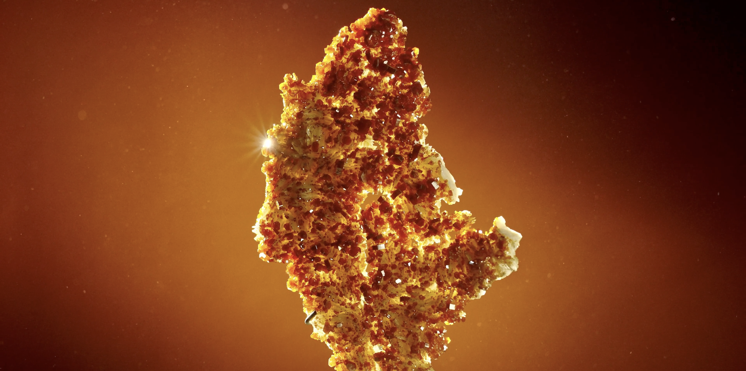Close-up of a crispy, textured golden food item against an orange background.