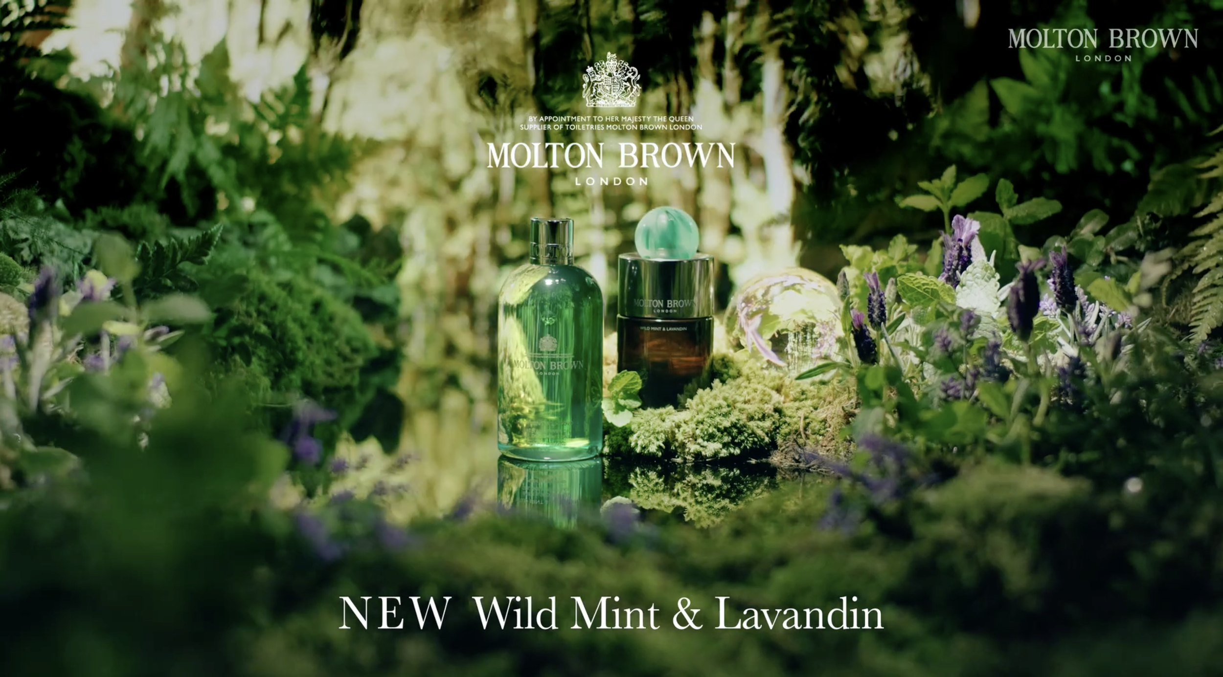 Molton Brown Wild Mint & Lavandin