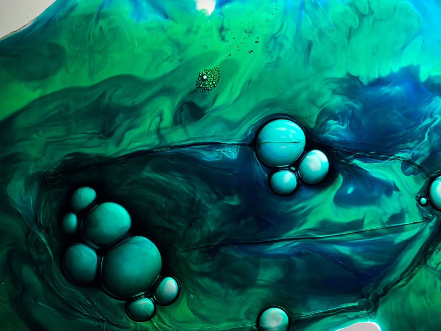 5592-ELCELLA-PRODUCT_TEXTURES_HISPEED-HYBRID58048-WEB.jpg