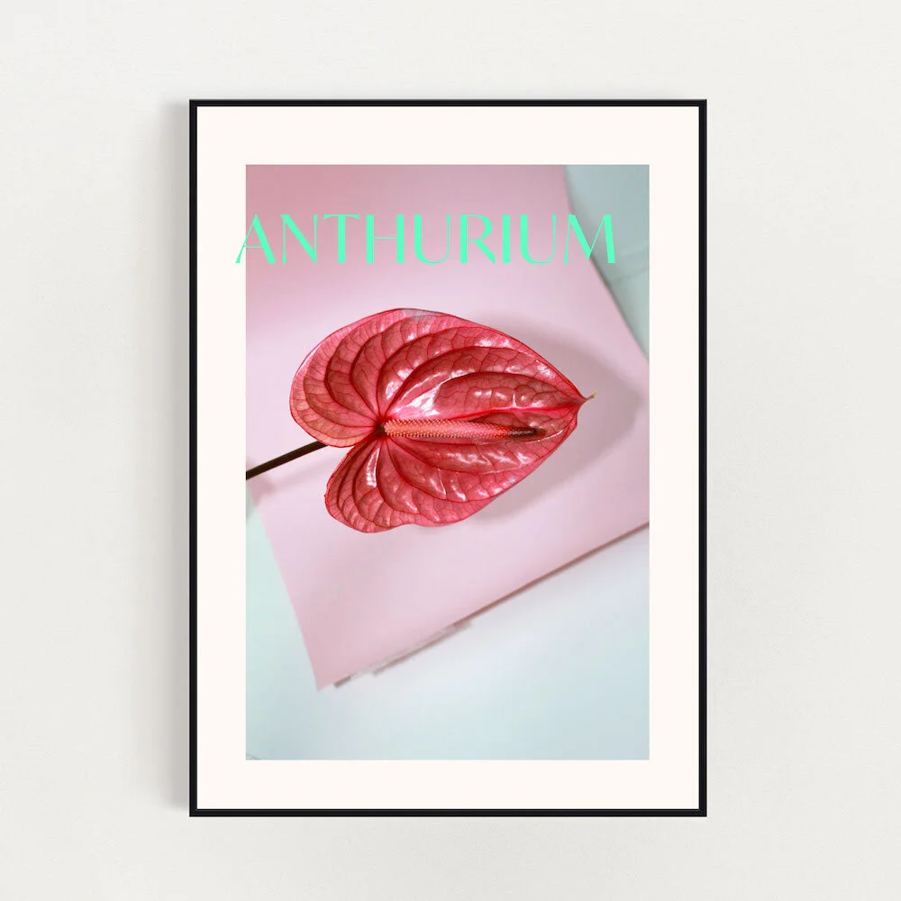 Anthurium Poster with Pop-Art Colors | SCANDIBOOM
