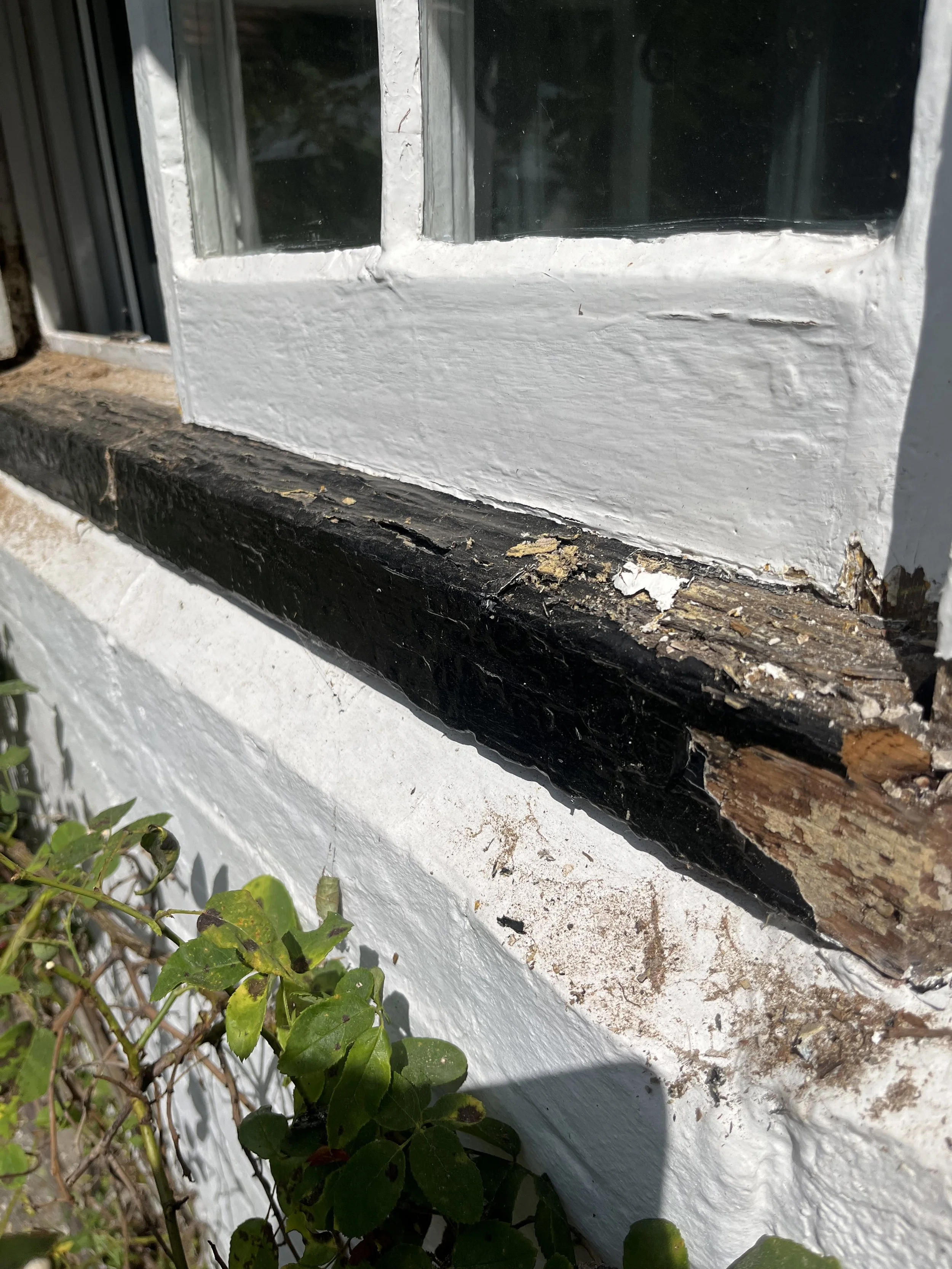 Project 2 - Old place - DURING - IMG_2246.jpeg