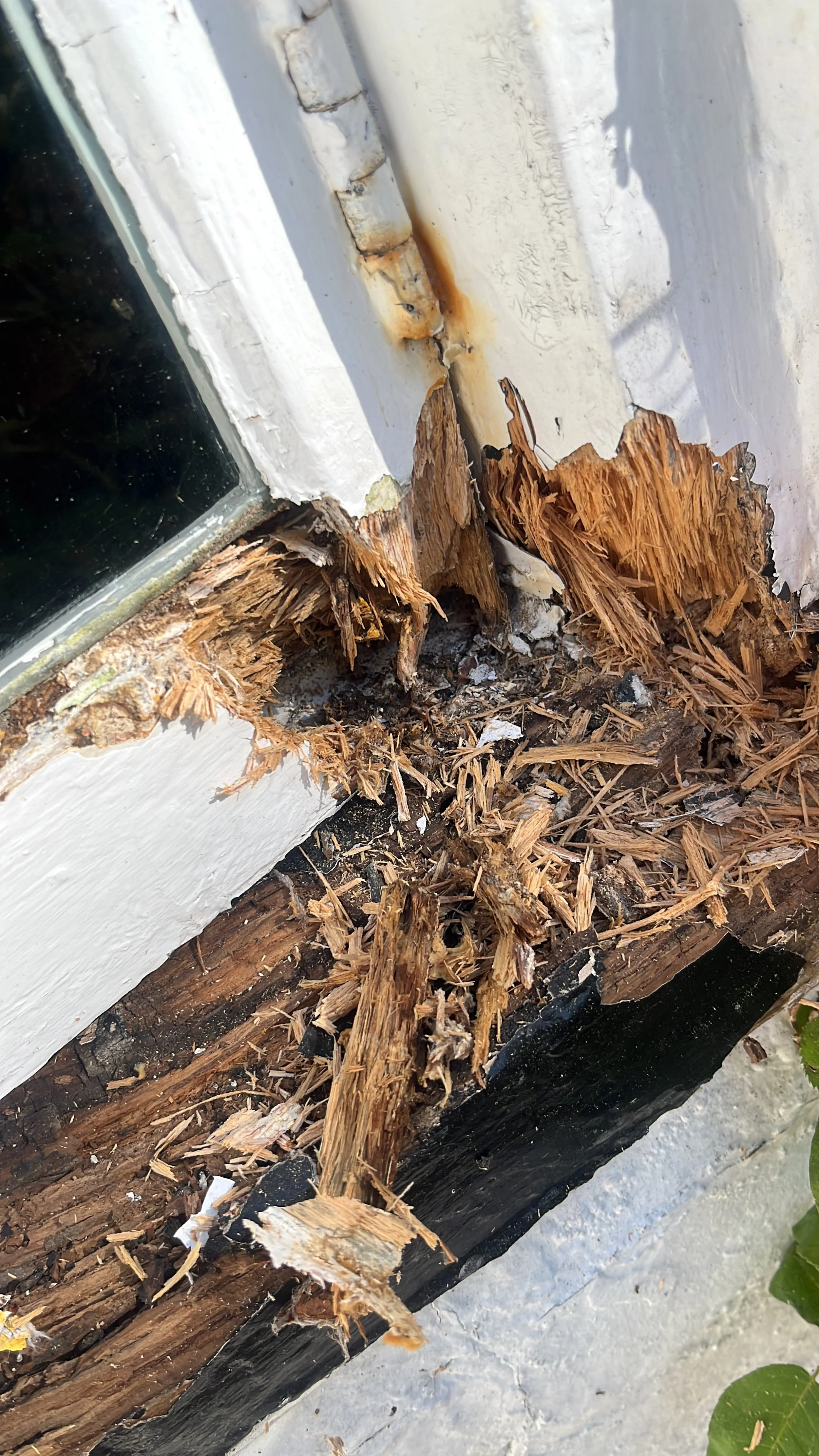 Project 2 - Old place - BEFORE - B82554A1-FC8D-471D-9439-9E8EB05C0817.jpeg