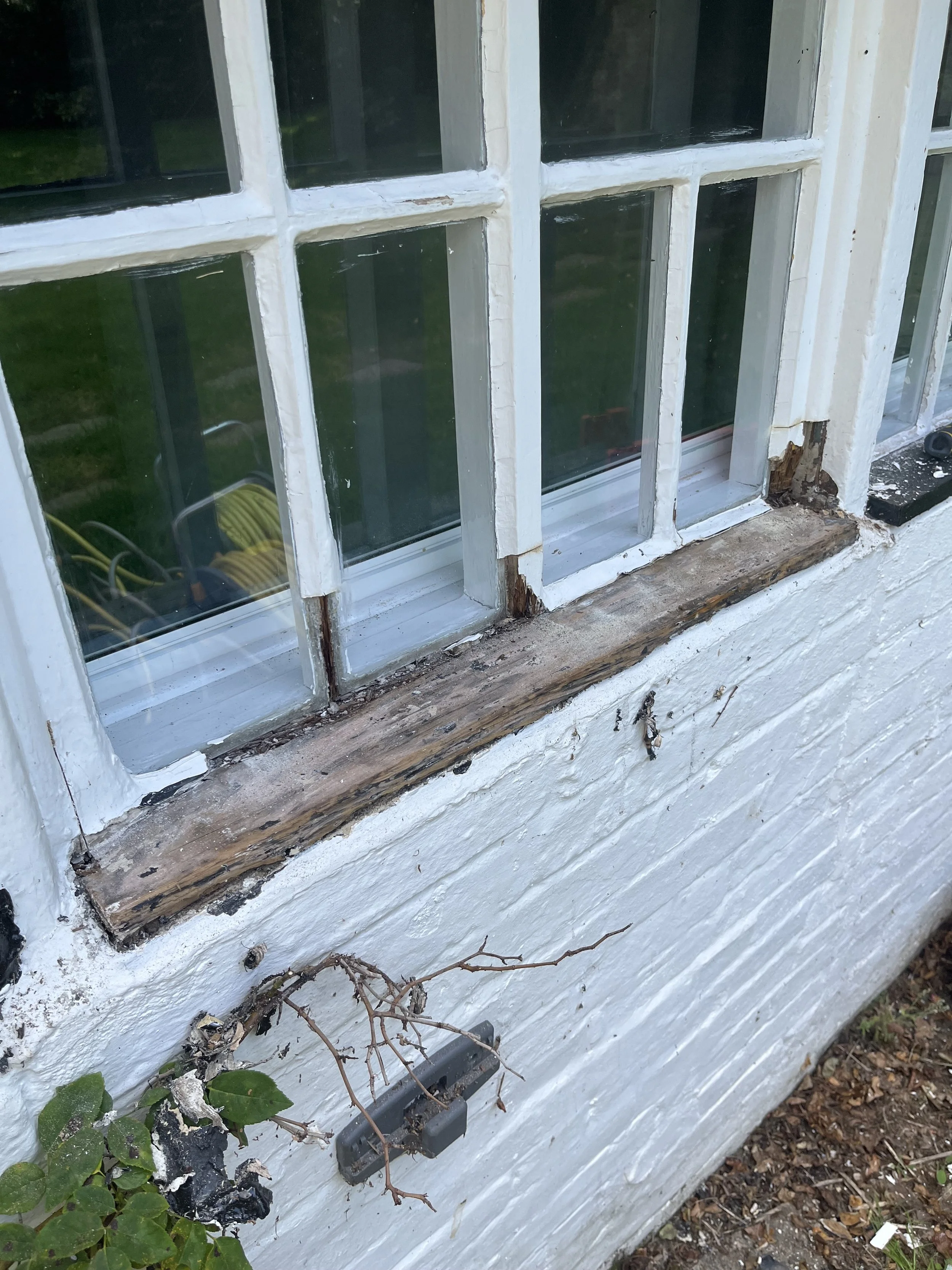 Project 2 - Old place - DURING - IMG_2243.jpeg