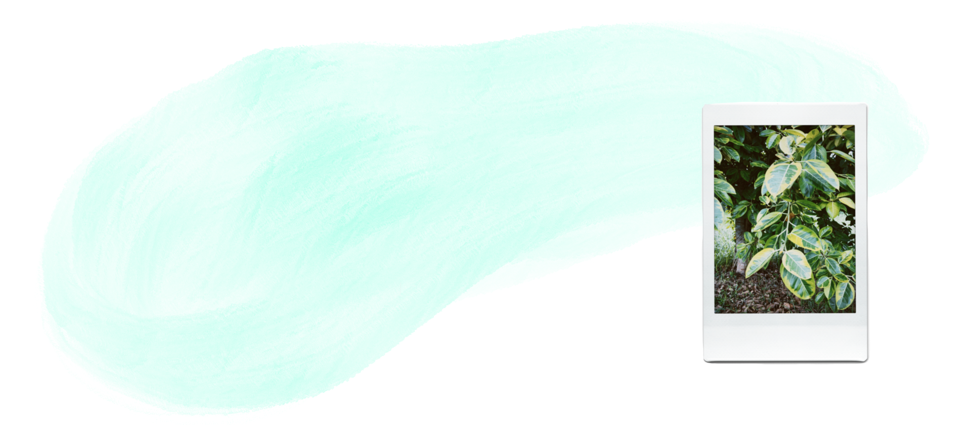 Introducing: Slow-down Sundays