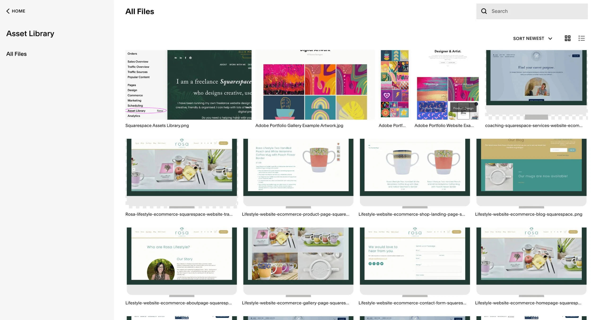 Squarespace Asset Library of Images