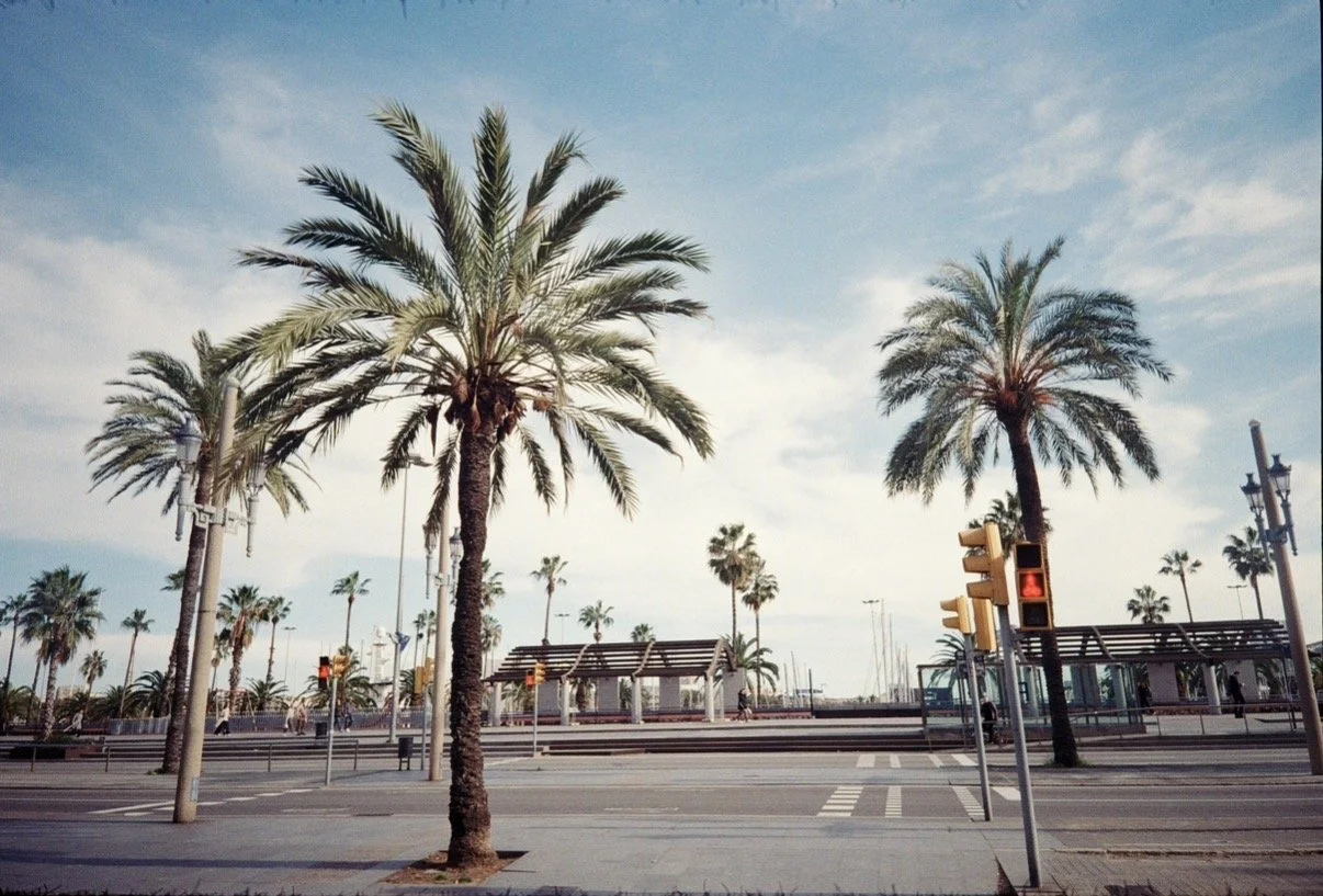 Kodak Snapic A1 Review - A Simple Camera That Works