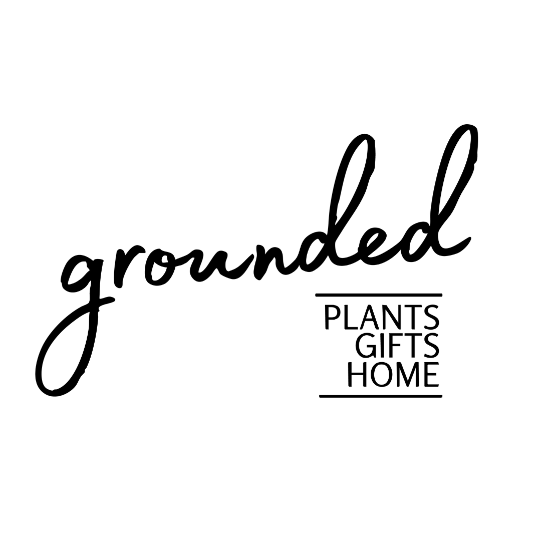 First Friday at Grounded