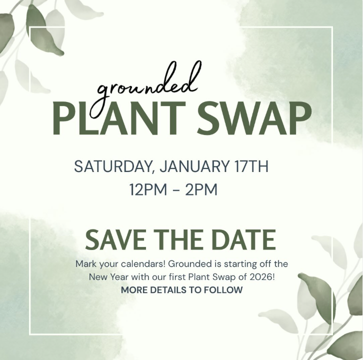 Grounded Plant Swap 