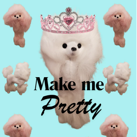 Pretty Pretty Poodle