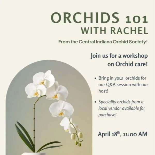  Orchids 101 Workshop with Rachel from The Central Indiana Orchid Society!