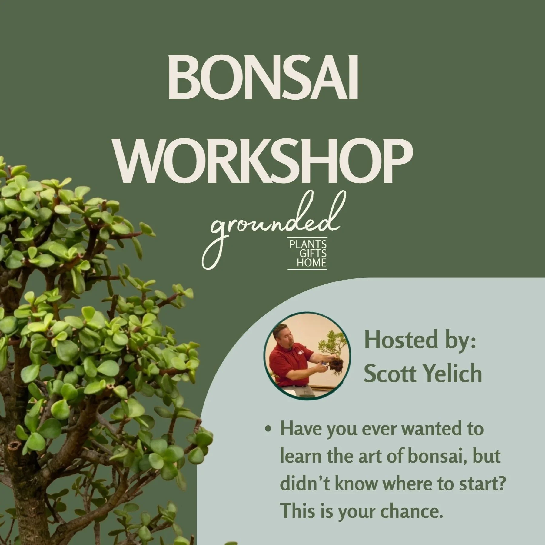 Bonsai Tree Workshop