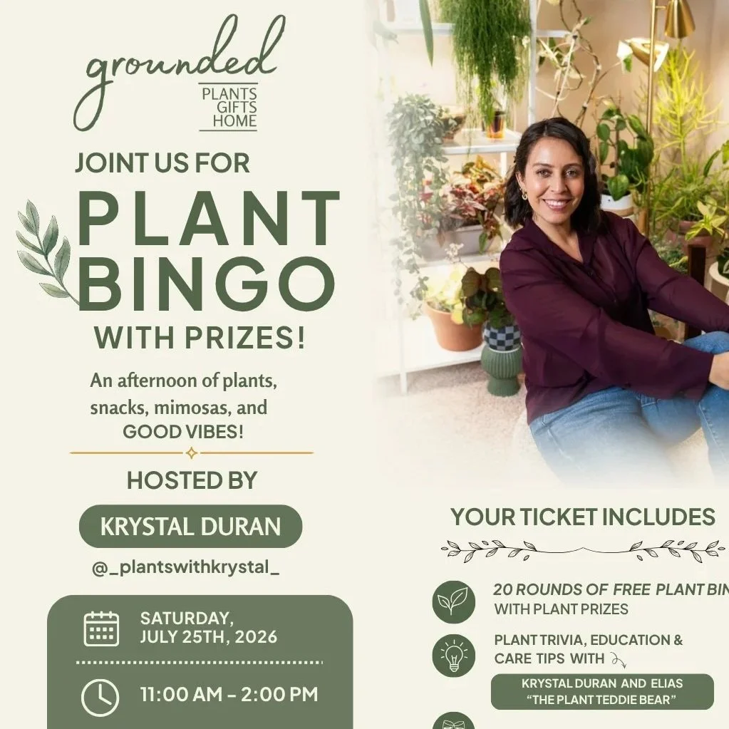 Plant Bingo With Prizes - Grounded