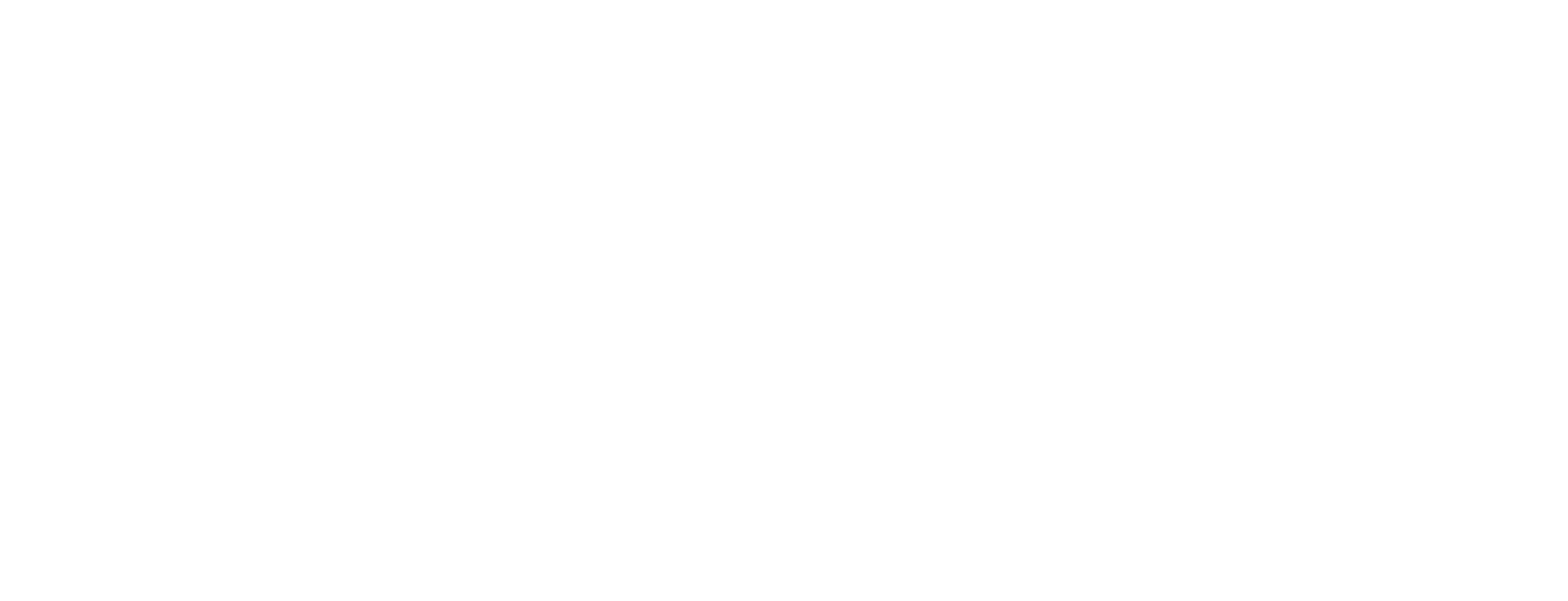 Eleven Nexus