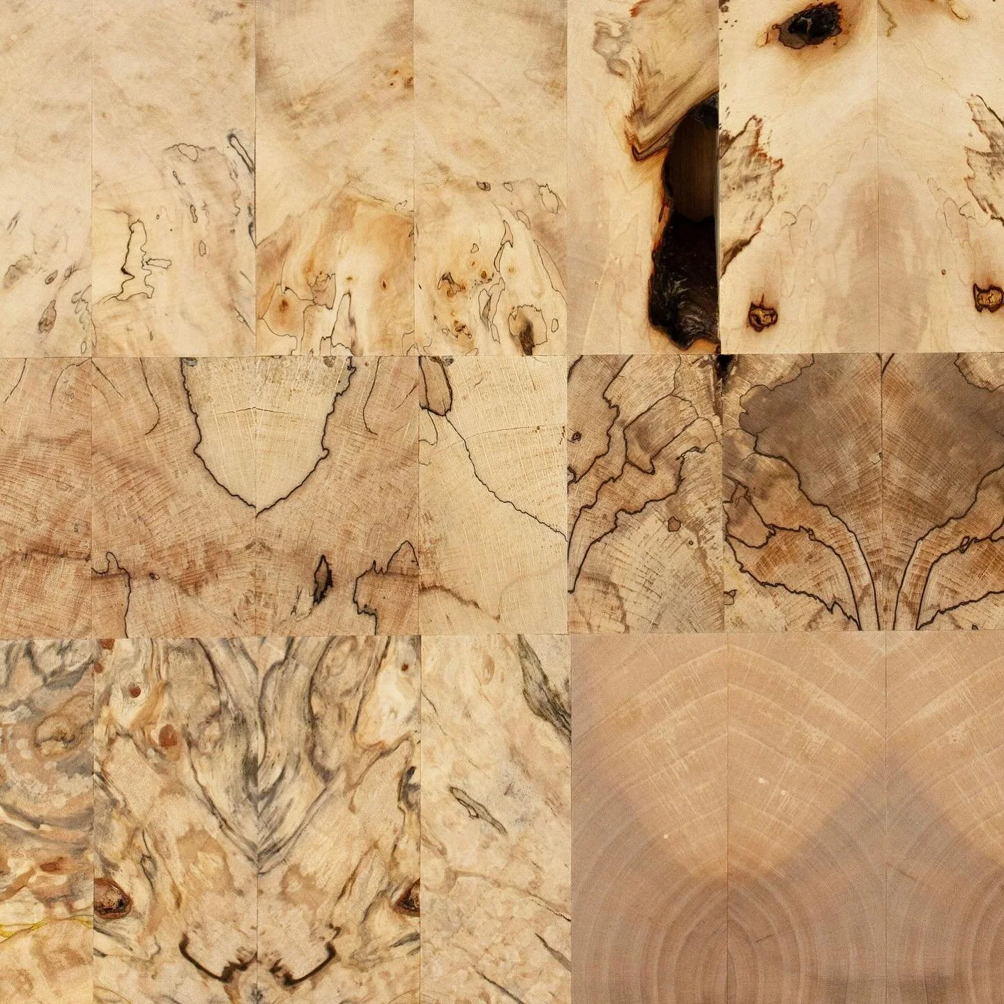 A detail of this beautiful maple, spalted chestnut and beech. 

Photo by @jesshowellphoto 

#woodartist
#woodenart
#craftsmanship
#britishcraft
#contemporarycraft
#woodcraft 
#artforinteriors
#spaltedbeech
#maple 
#horsechestnut