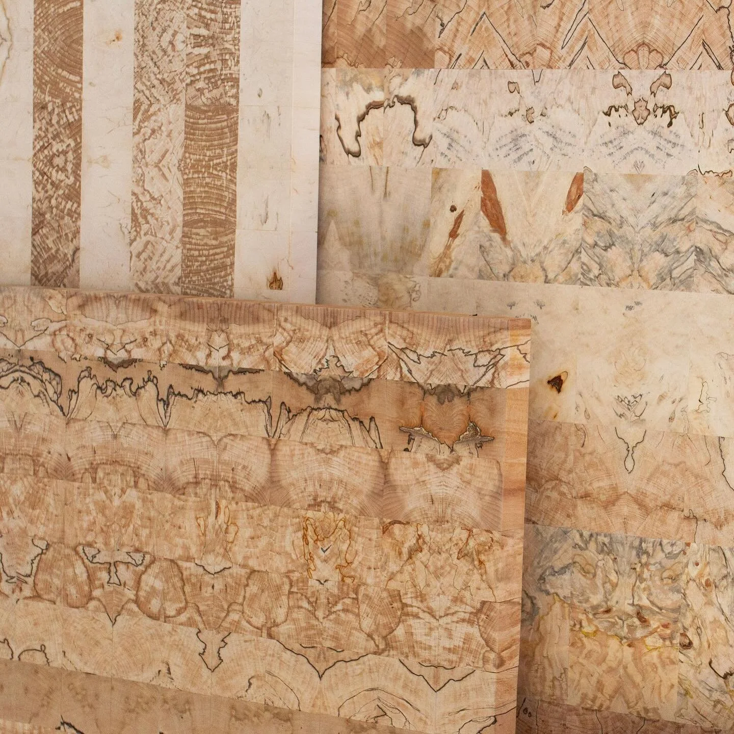 Overlapping tones and textures. 

Photo by @jesshowellphoto 

#woodartist
#woodenart
#craftsmanship
#britishcraft
#contemporarycraft
#woodcraft 
#artforinteriors
#visualart
#spaltedbeech
#spaltedsycamore
#horsechestnut