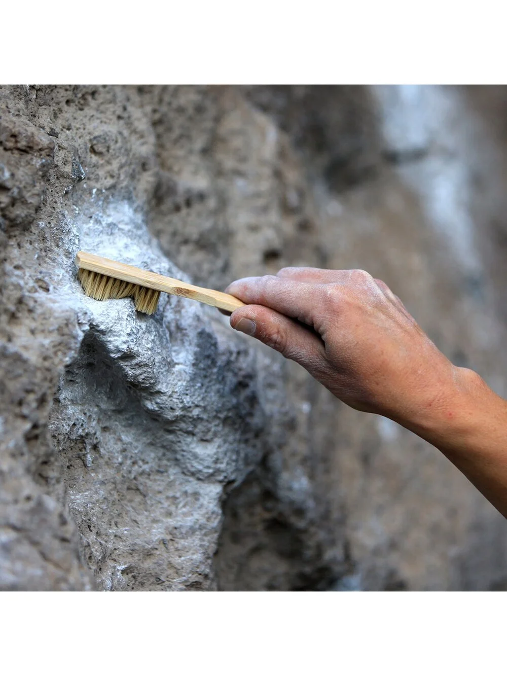 Metolius Bamboo Boar's Hair Brush — Ontario Resoles