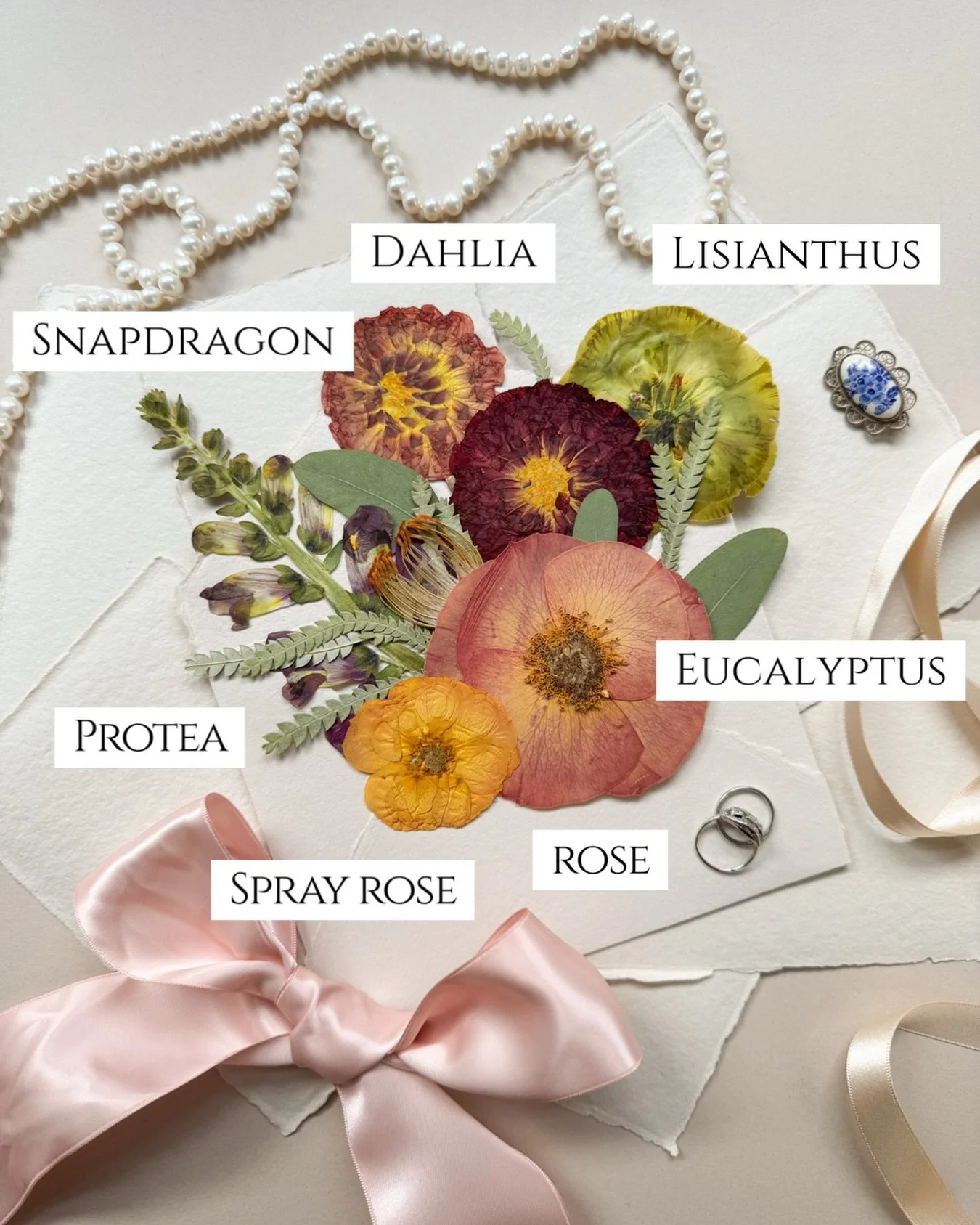 A few of Martha&rsquo;s lovely &amp; rich October wedding blooms. ❤️

Rose. Dahlia. Snapdragon. Pressed, preserved, and named - a botanical snapshot of her wedding day.

#weddingbouquetpreservation #pressedweddingbouquetpreservation #weddingflowerspr