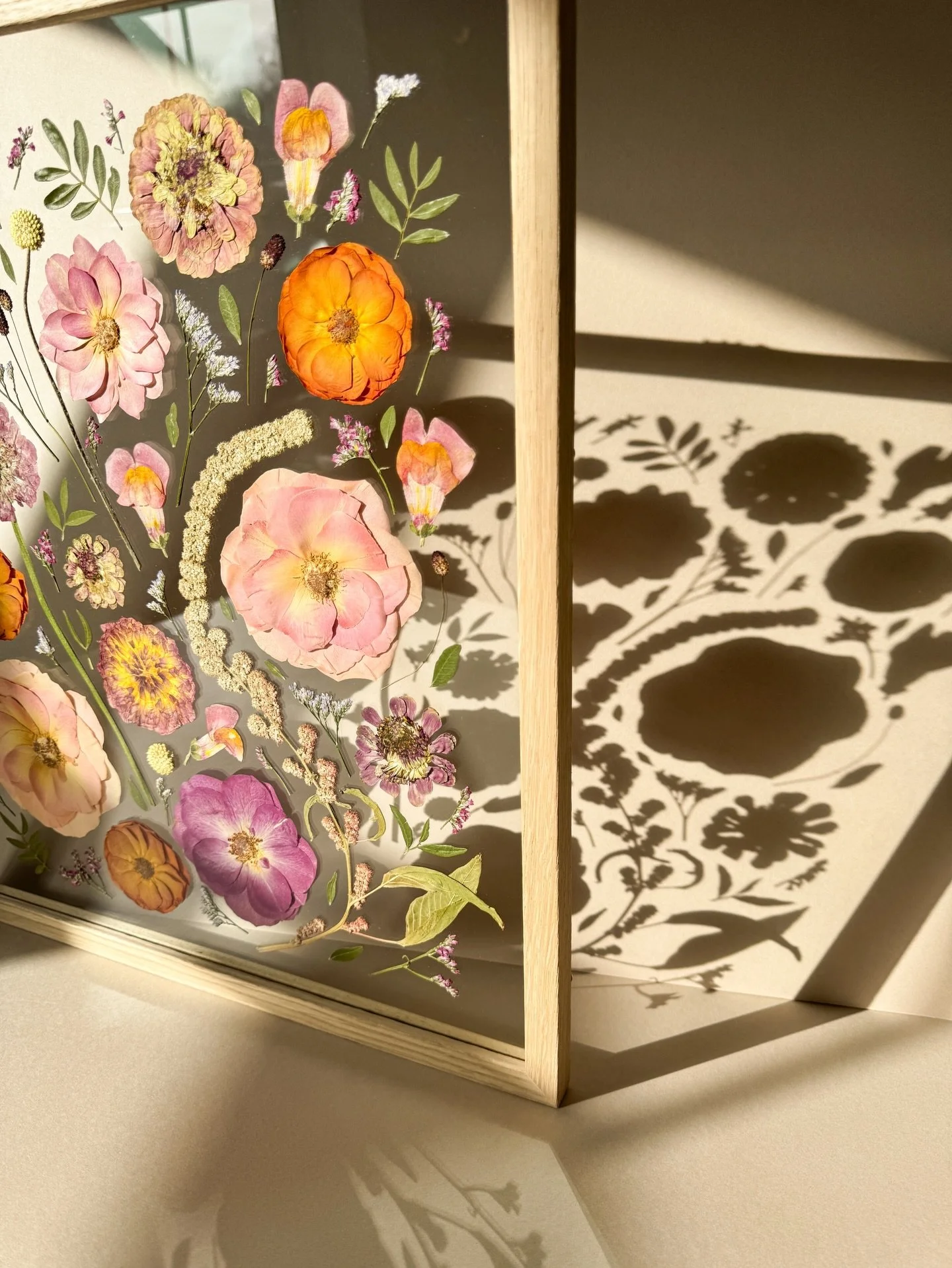 Caught in the sunshine ☀️
Don&rsquo;t worry though! They&rsquo;re safely protected behind UV-protective art glass, something I use as standard in every frame.

#weddingbouquetpreservation
#pressedweddingbouquetpreservation
#weddingflowerspressing
#pr