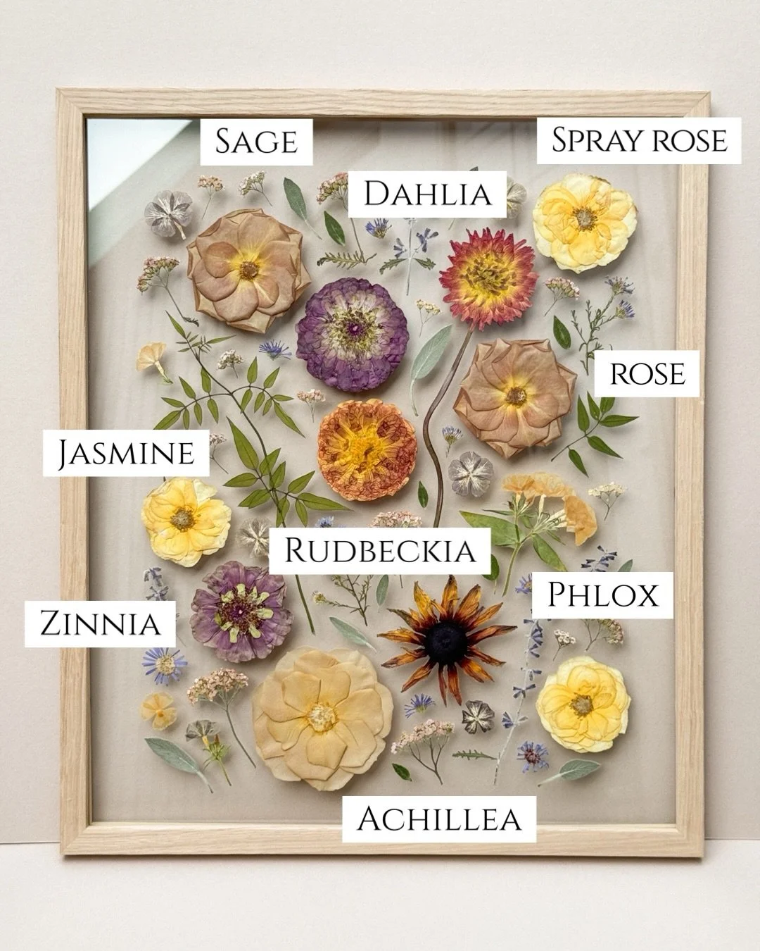 A little botanical breakdown to highlight some of the beautiful flowers that made up Layla&rsquo;s GORGEOUS bouquet - from soft garden roses to dahlias, zinnias and other seasonal September blooms.

Each one was carefully pressed and preserved to cre