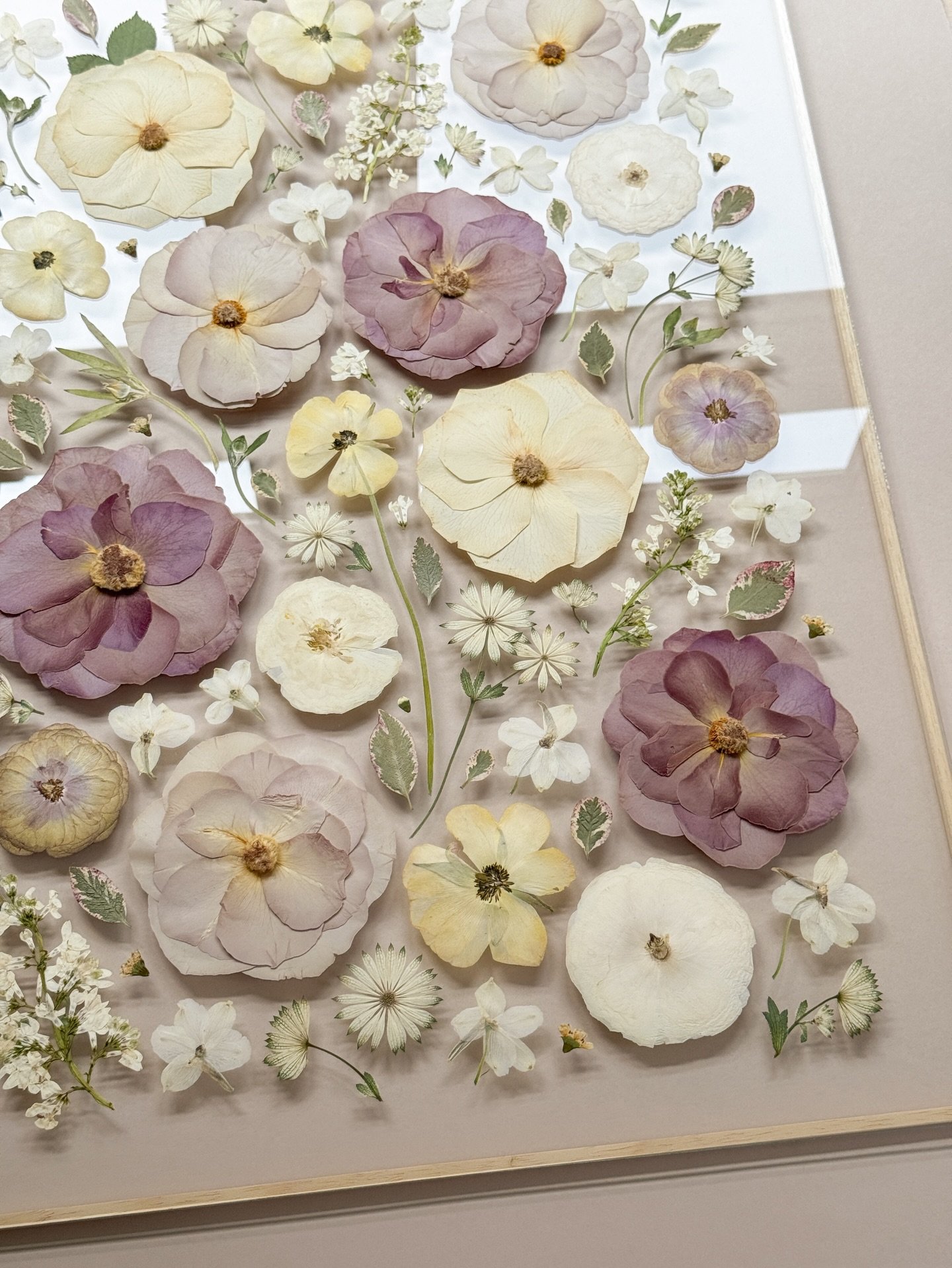 From wedding day to a forever keepsake&hellip;
A little sneak peek of Sophie&rsquo;s bouquet as it begins its second life in pressed form 🥰

#weddingbouquetpreservation #pressedweddingbouquet #pressedflowers #weddingflowersuk #floralkeepsake