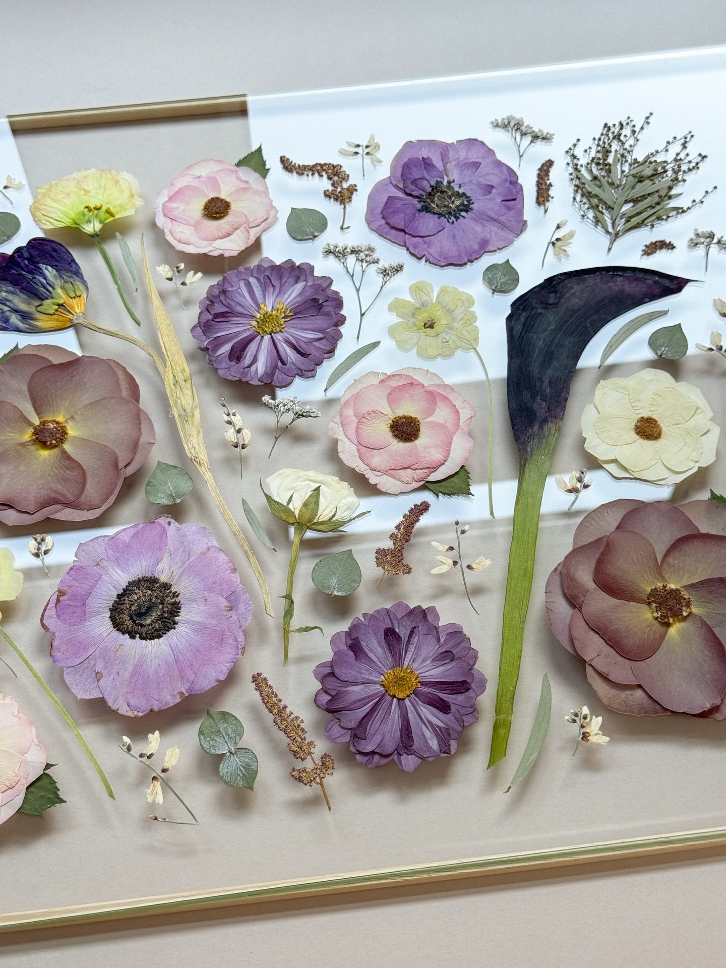 Tiny peek of Charlotte&rsquo;s pressed wedding bouquet 🌸
Anemones, chrysanthemums, and that dreamy calla lily - can&rsquo;t wait to share the finished piece!

#pressedweddingbouquet #weddingflowerspressing #pressedfloralbouquet #weddingbouquetpreser