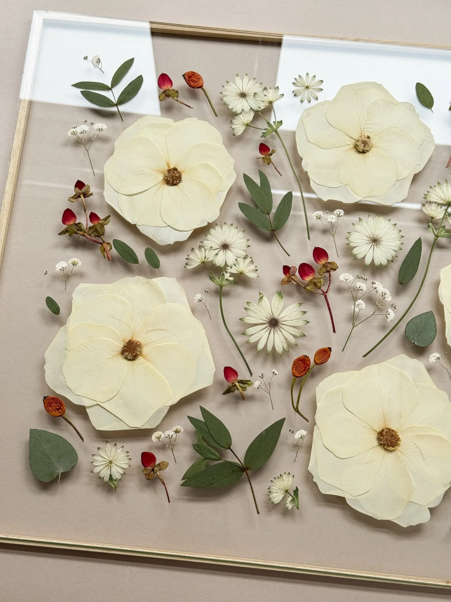 Winter berries, creamy white roses and eucalyptus - Libby&rsquo;s perfect December wedding bouquet, now carefully pressed and awaiting its final frame. I love how beautifully the berries have pressed (they&rsquo;re not always the easiest to work with