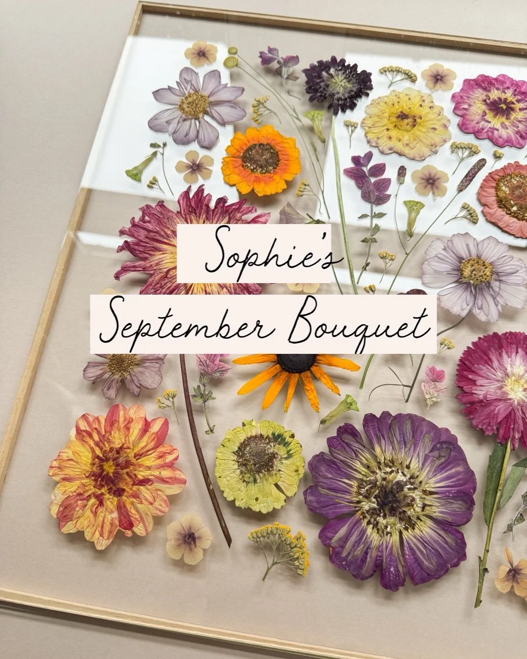 Oh how I loved Sophie&rsquo;s wedding blooms - bursting with September colours, full of texture and movement! All British-grown and seasonal, and now turned into the loveliest piece to be kept and enjoyed for years to come. 💛

💐 Florist: @amyflutte