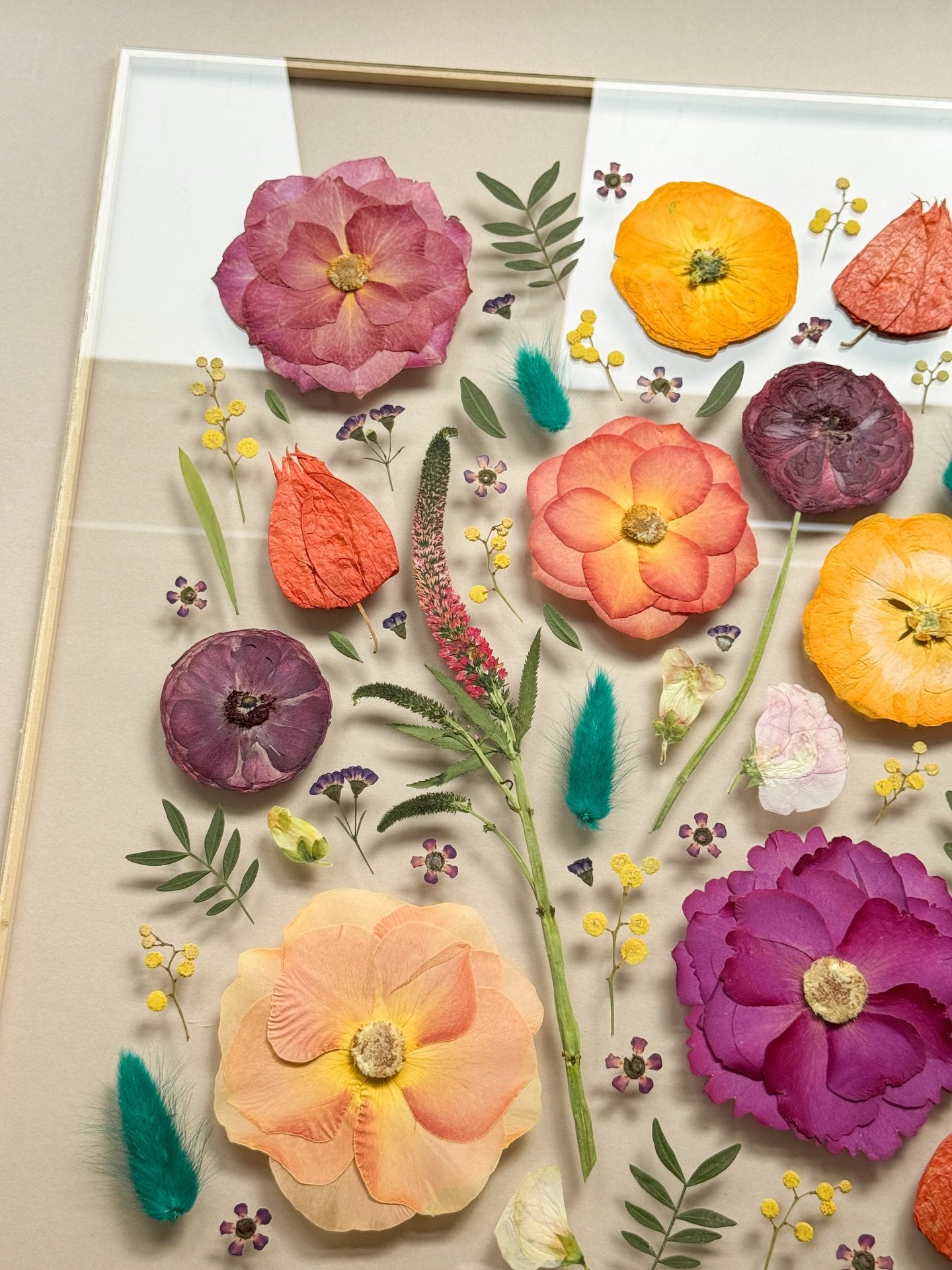 First look at Hannah&rsquo;s insanely beautiful and vibrant pressed wedding bouquet - aren&rsquo;t the colours just pure joy? 🩷🧡

#pressedweddingbouquet #weddingflowerspressing #pressedfloralbouquet #weddingbouquetpreservation #pressedflowersuk