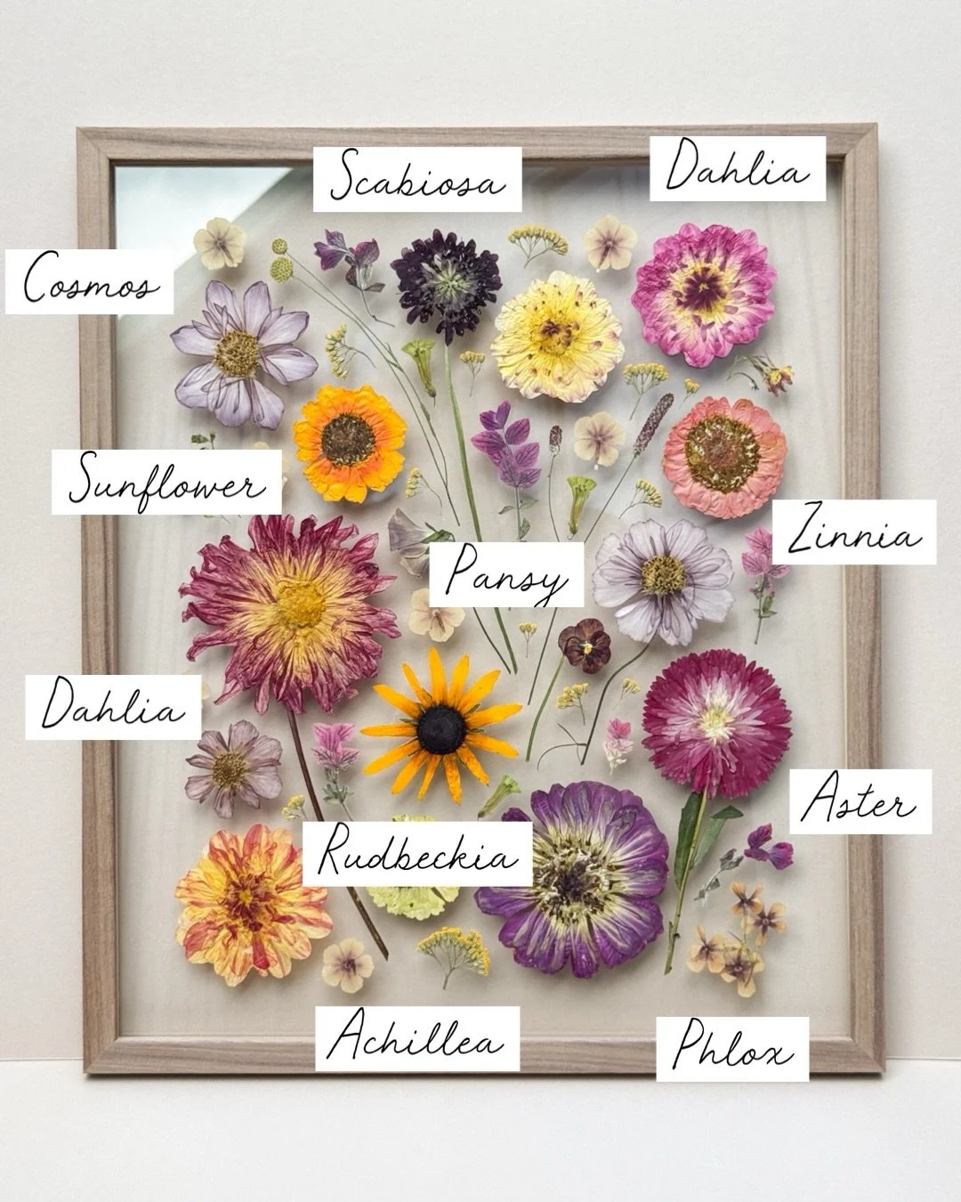 I  LOVE how the botanical collage style lets each flower have its own moment! 🧡

Sophie&rsquo;s bouquet was so full of colour and movement, and this style really showcases its beauty in a light, contemporary way. Not a reconstruction, but a modern i