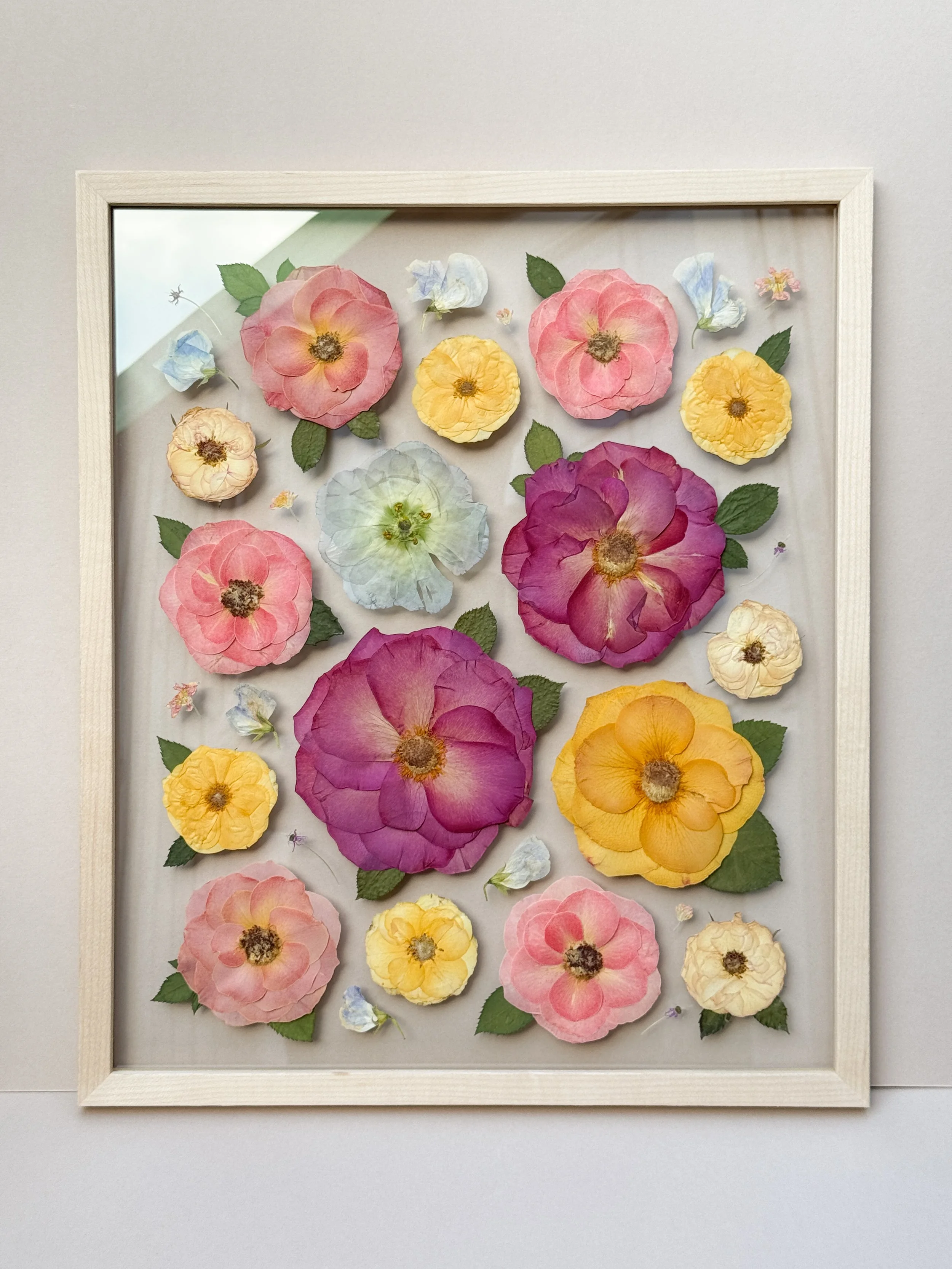Pressed and dried flowers in various colors, arranged in a decorative display inside a white frame.