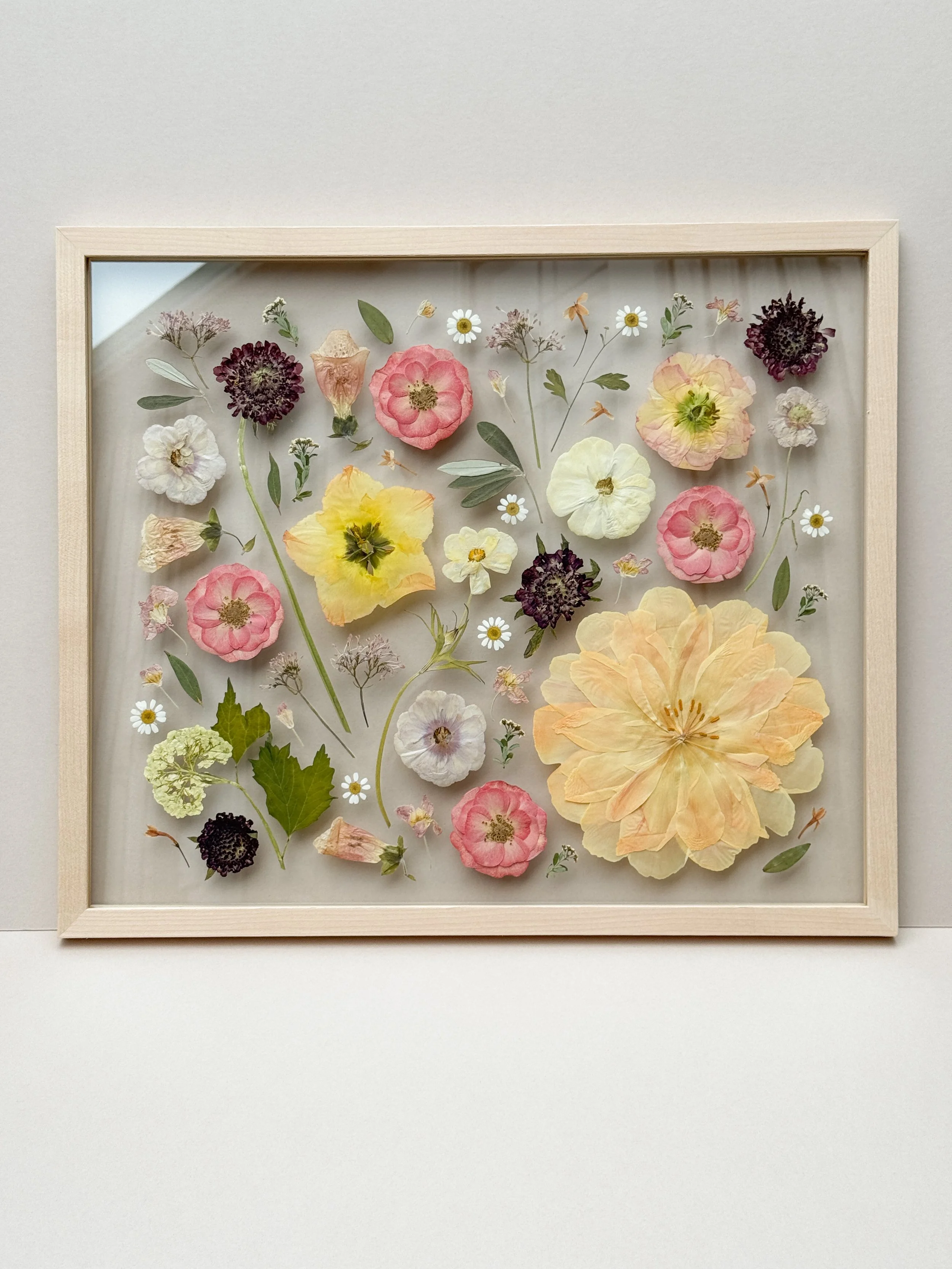 Pressed and dried various colorful flowers including roses, daisies, and other blooms displayed in a shadow box frame.