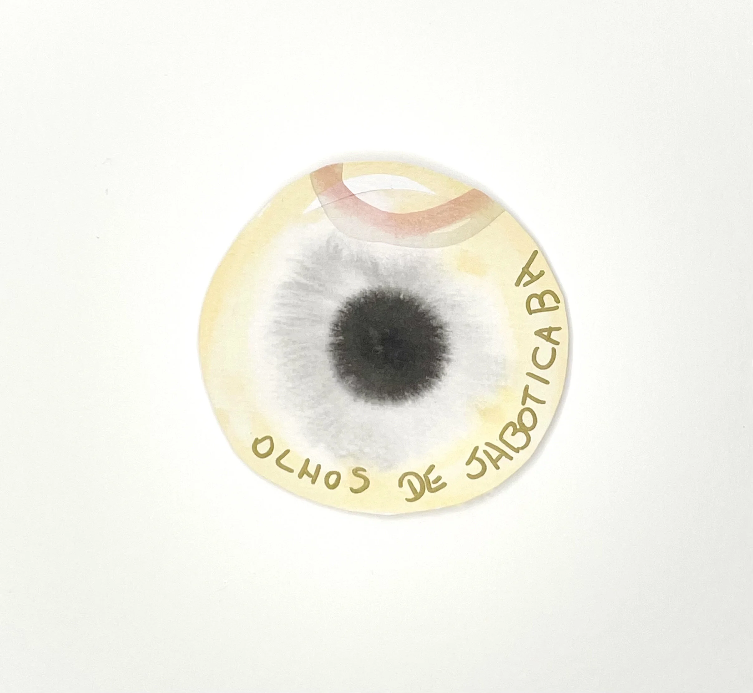 Yeux de Jaboticaba