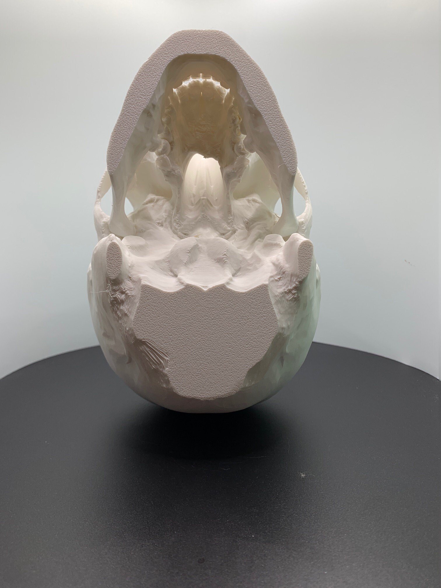 https://i.etsystatic.com/27169928/r/il/aa9cc7/3383903825/il_fullxfull.3383903825_l2q8.jpg