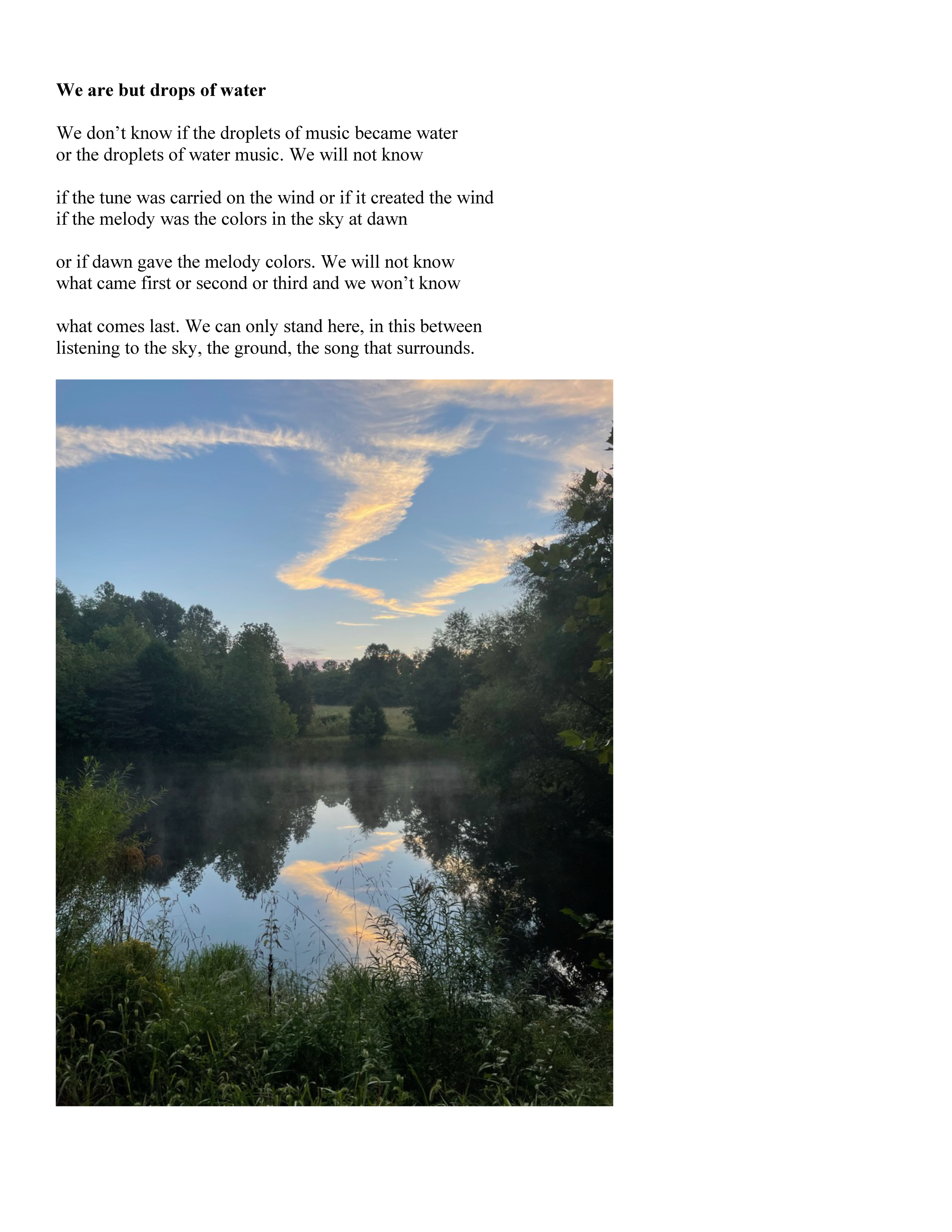 Image of pond, blue sky, and green leafy trees