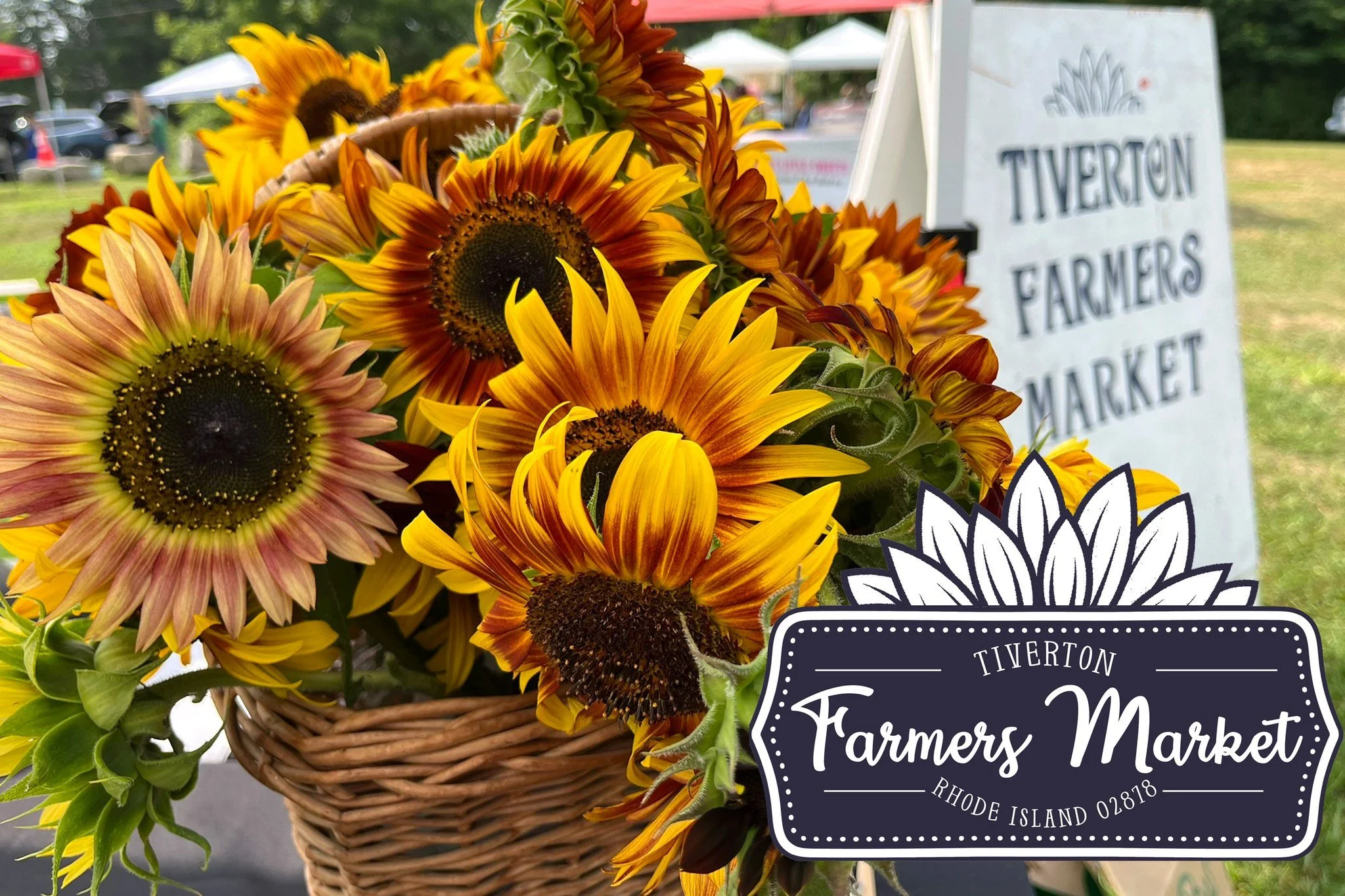 Tiverton Farmer's Market 