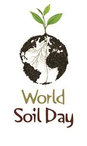 World Soil Day