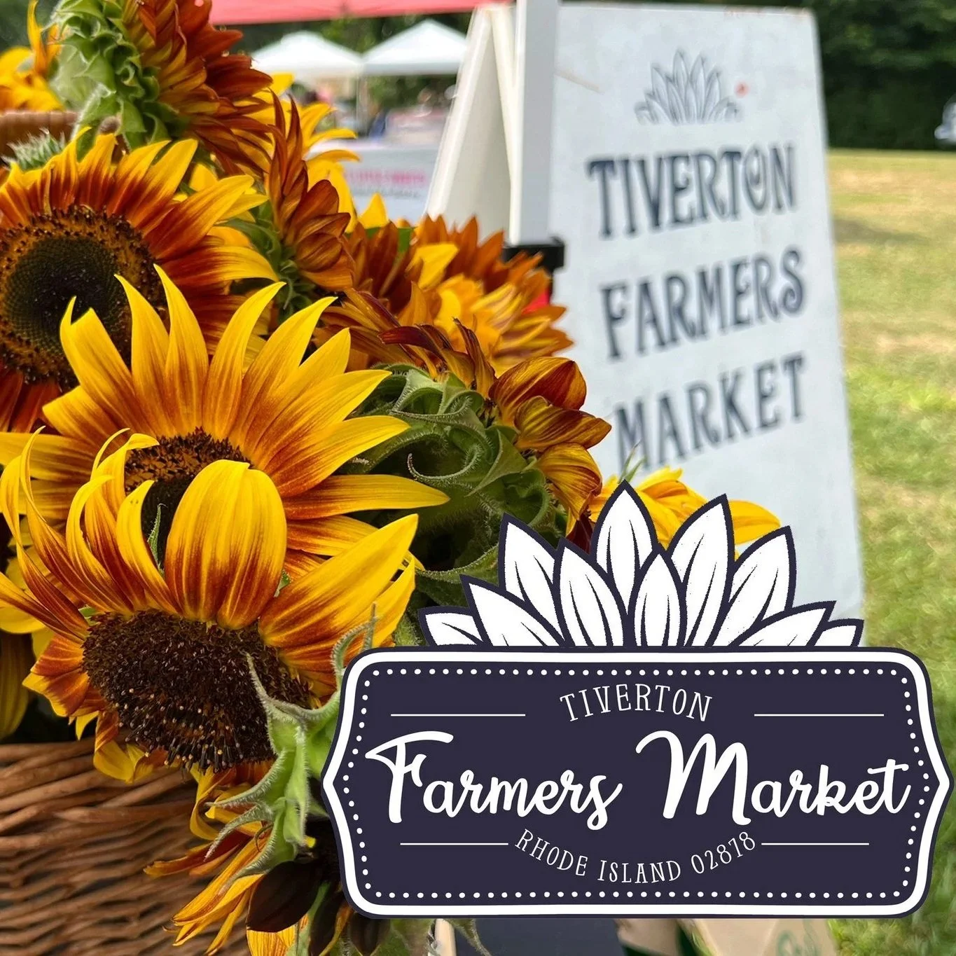 Tiverton Farmer's Market