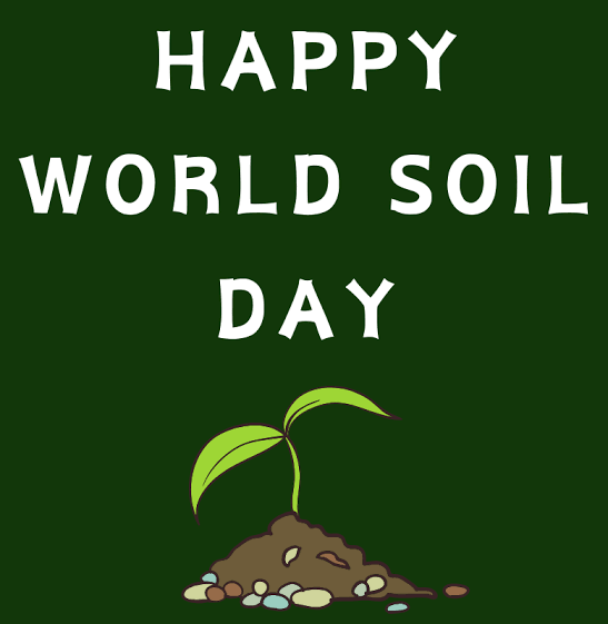 World Soil Day