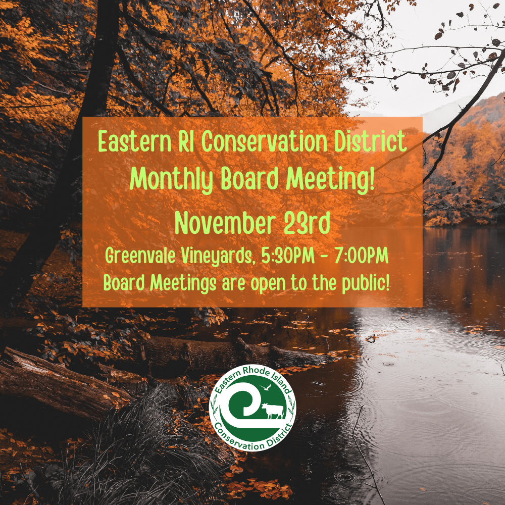 ERICD Monthly Board Meeting for November 2026