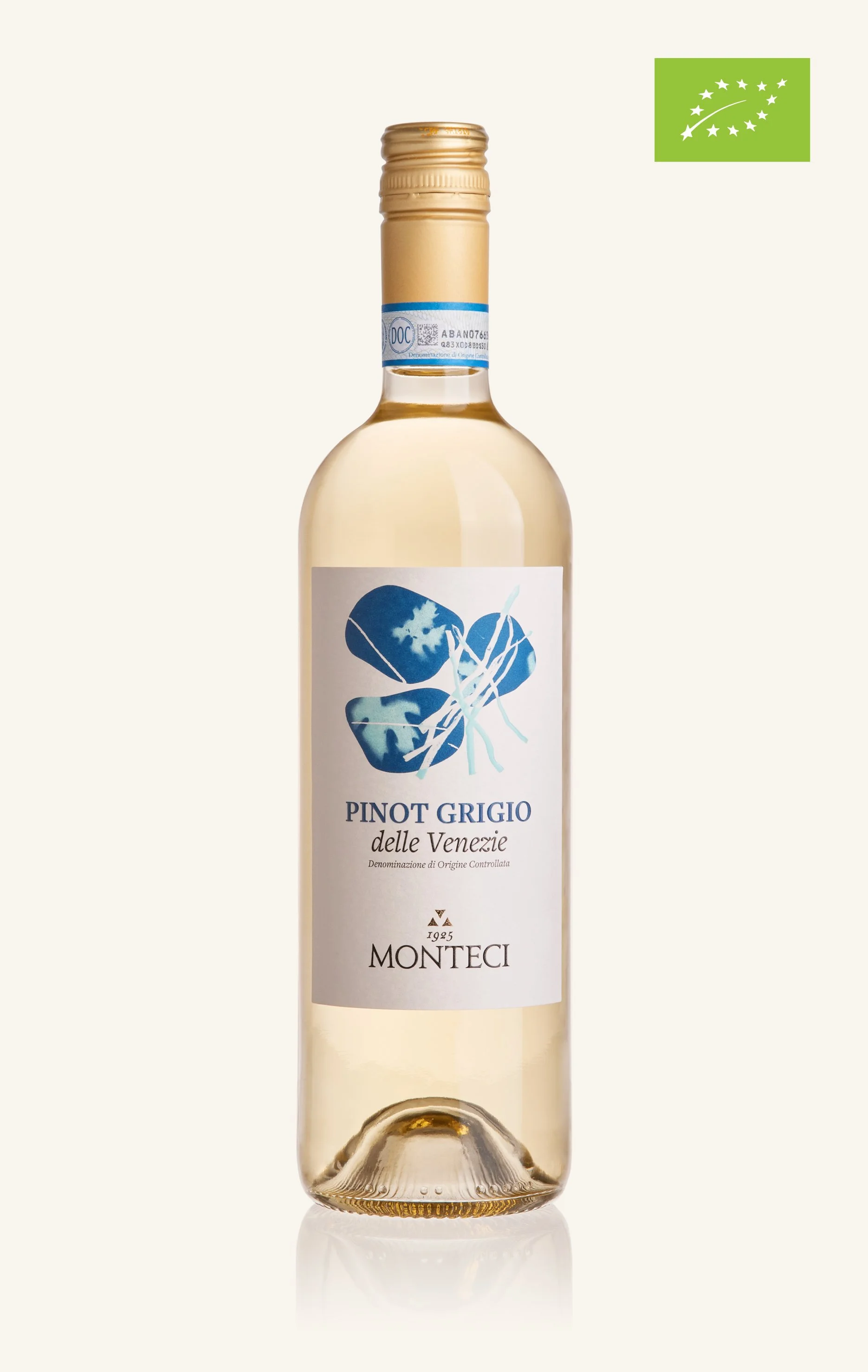 Pinot Grigio delle Venezie DOC 2025 biologico