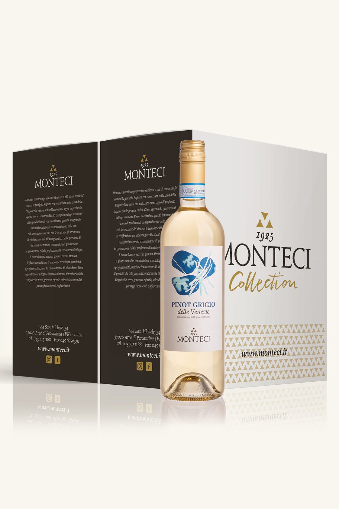 Promo_12 bottiglie PINOT GRIGIO
