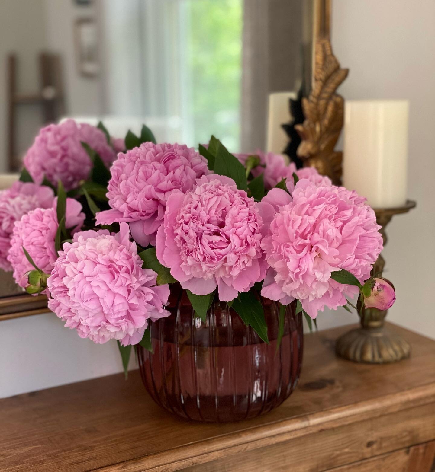 Sometimes I can&rsquo;t tell if this is a gardening account or design account... 🤷🏻&zwj;♀️🤦🏻&zwj;♀️🙋🏻&zwj;♀️ but when you have peonies growing out of your ears, you have to share their beauty. 🌸🌸🌸 🐝
&bull;
&bull;
&bull;
&bull;
&bull;
&bull;