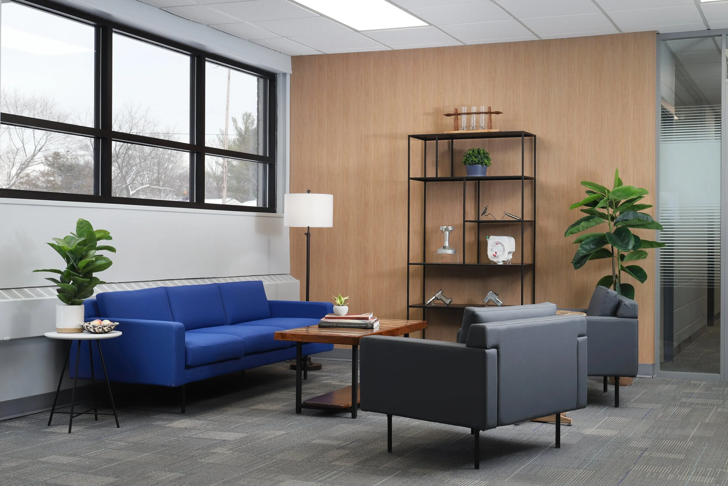 Brighter- Safari4.jpg