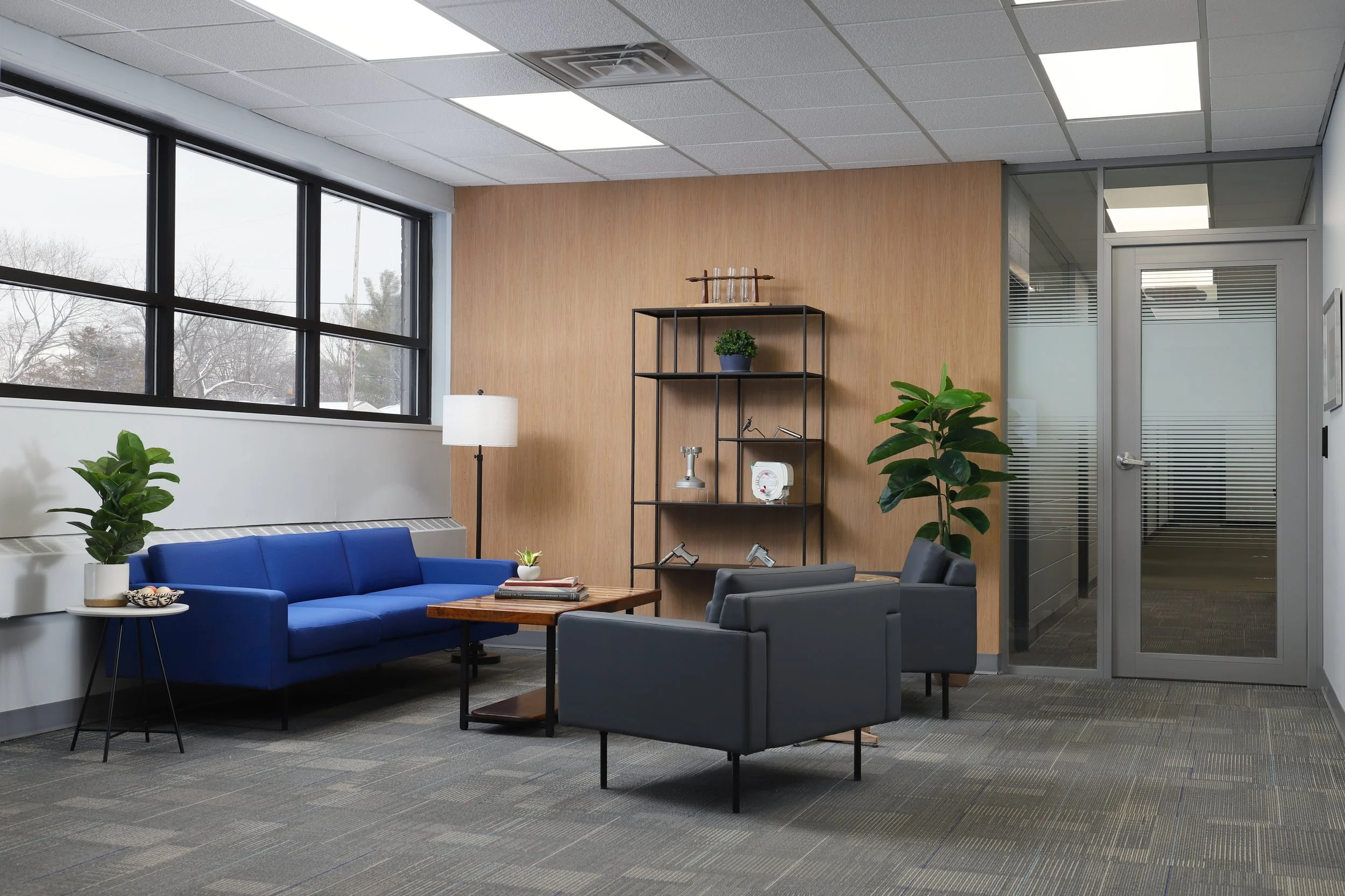 Brighter- Safari5.jpg