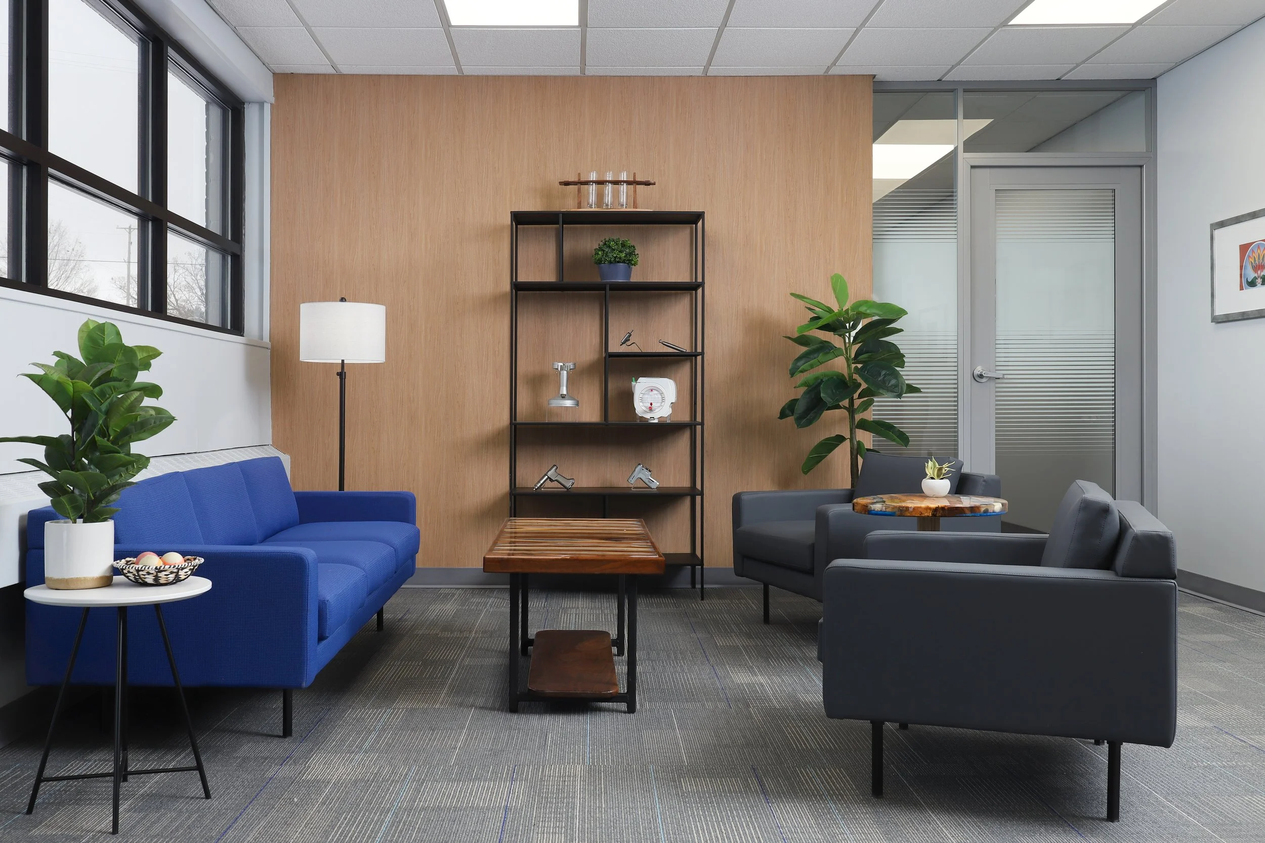 Brighter- Safari6.jpg