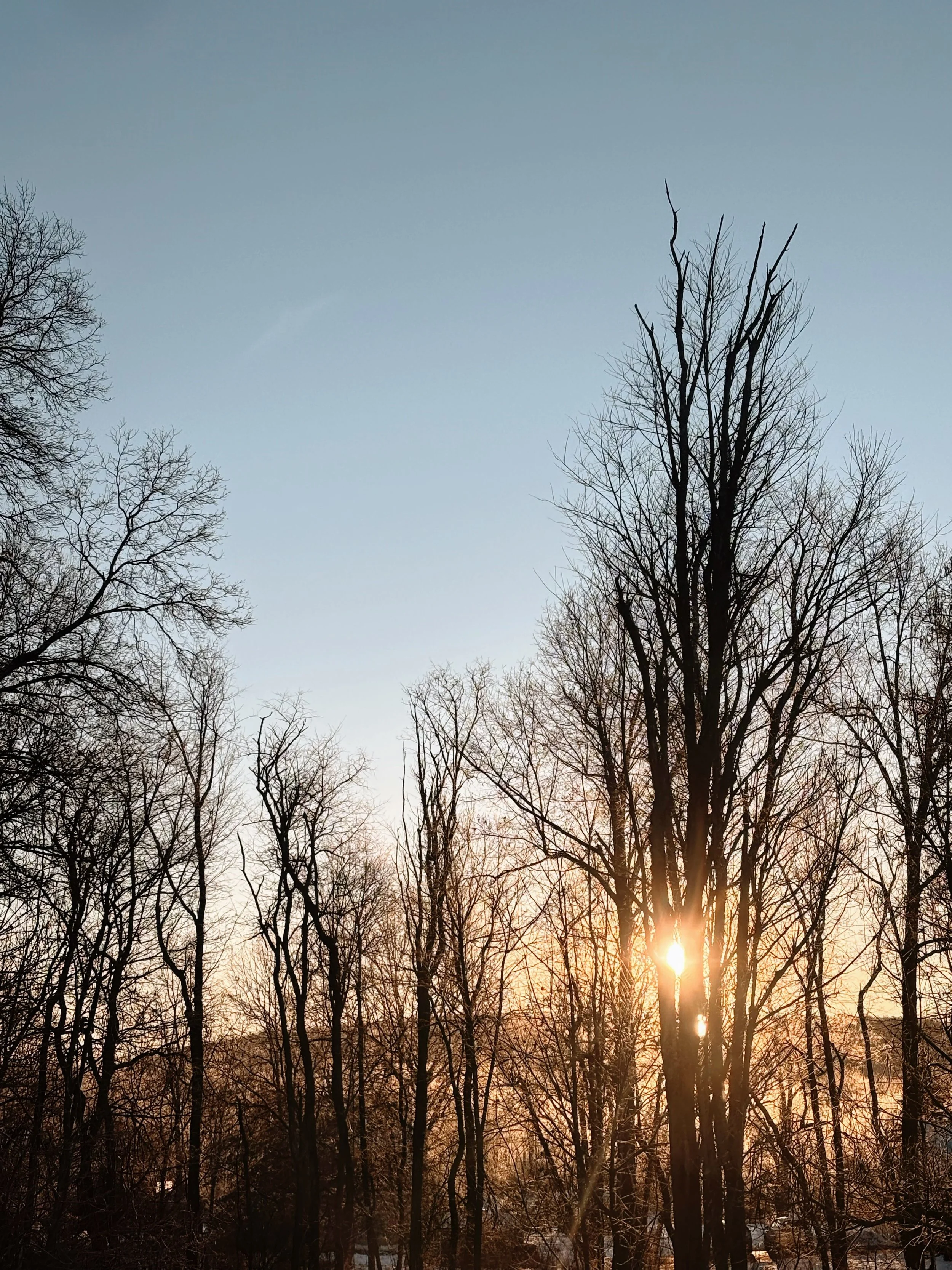 When Life Teaches Through My Clients