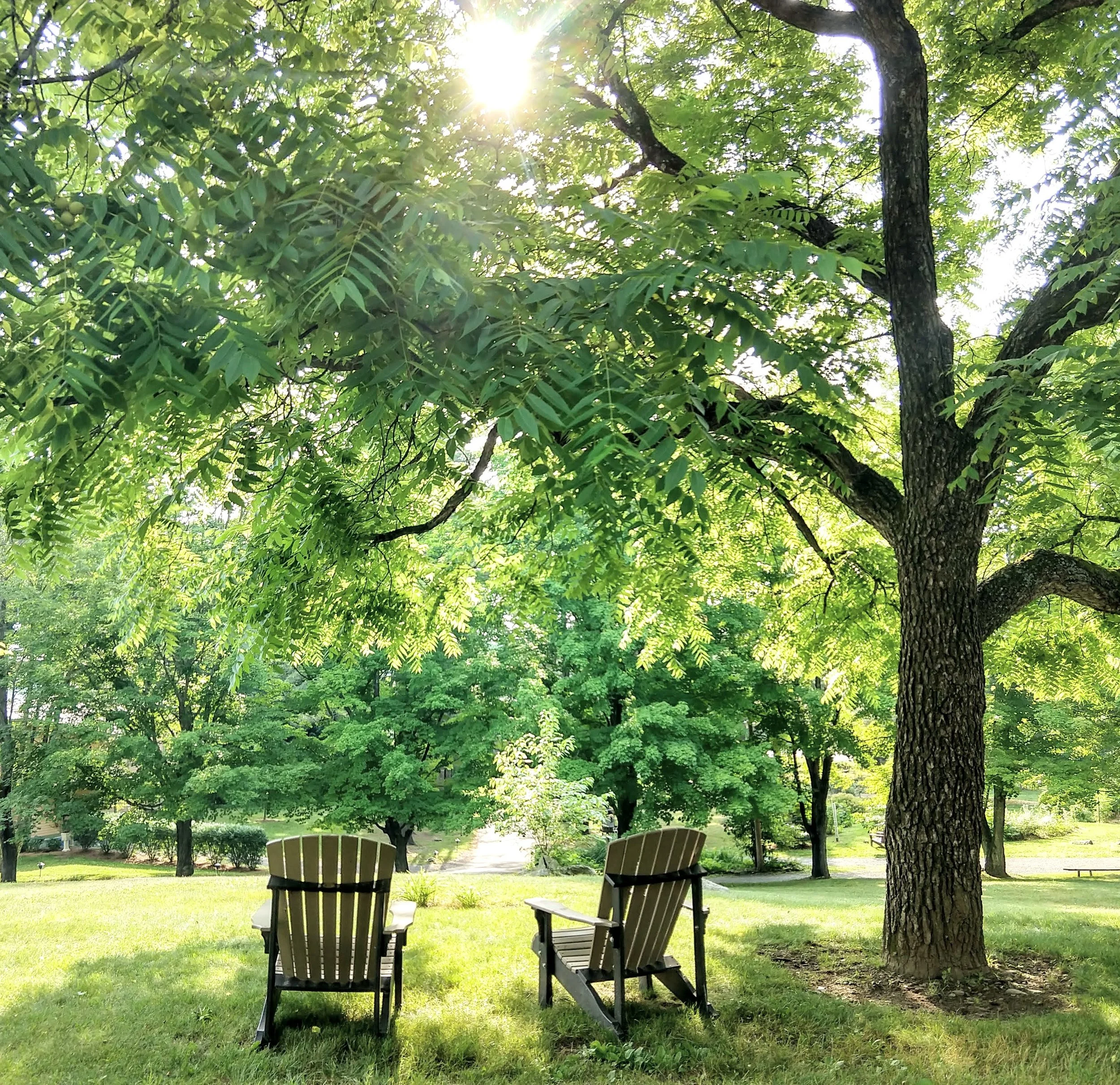 Delia Tarlea - offering integrative healing sessions, massage therapy and Biofield Tuning in New Paltz.