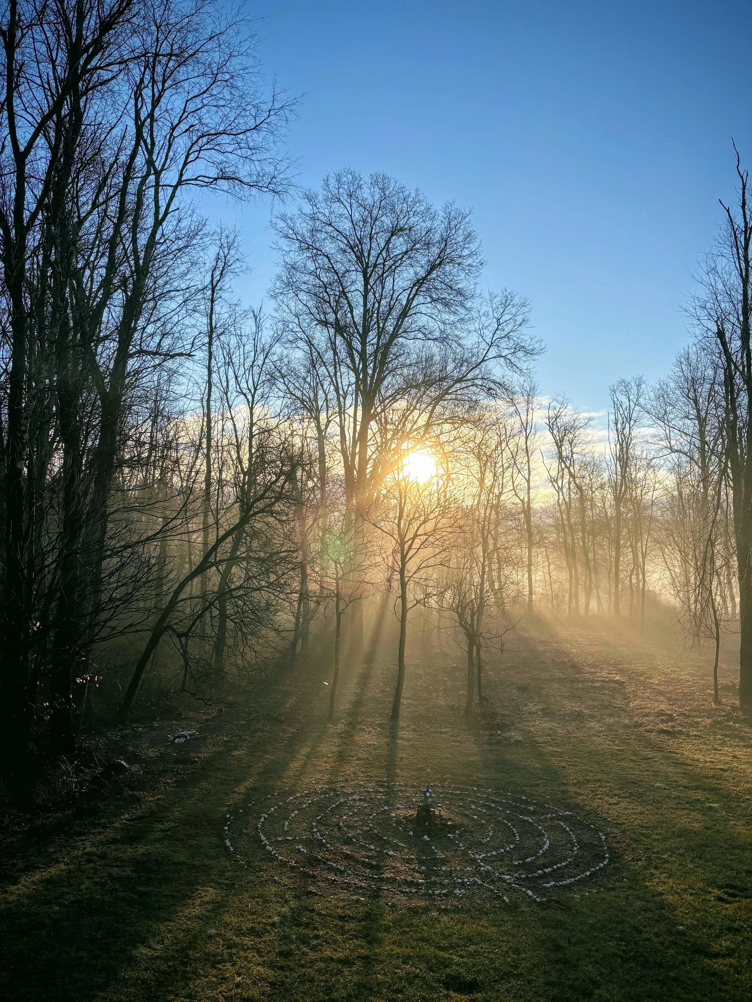 ☀️🌝 SPRING EQUINOX: AWAKENING AND RENEWAL - A revitalizing yet gentle guided meditation to welcome the energy of spring from within. This practice supports balance, circulation, and subtle awakening and invites renewal to arise naturally through bre