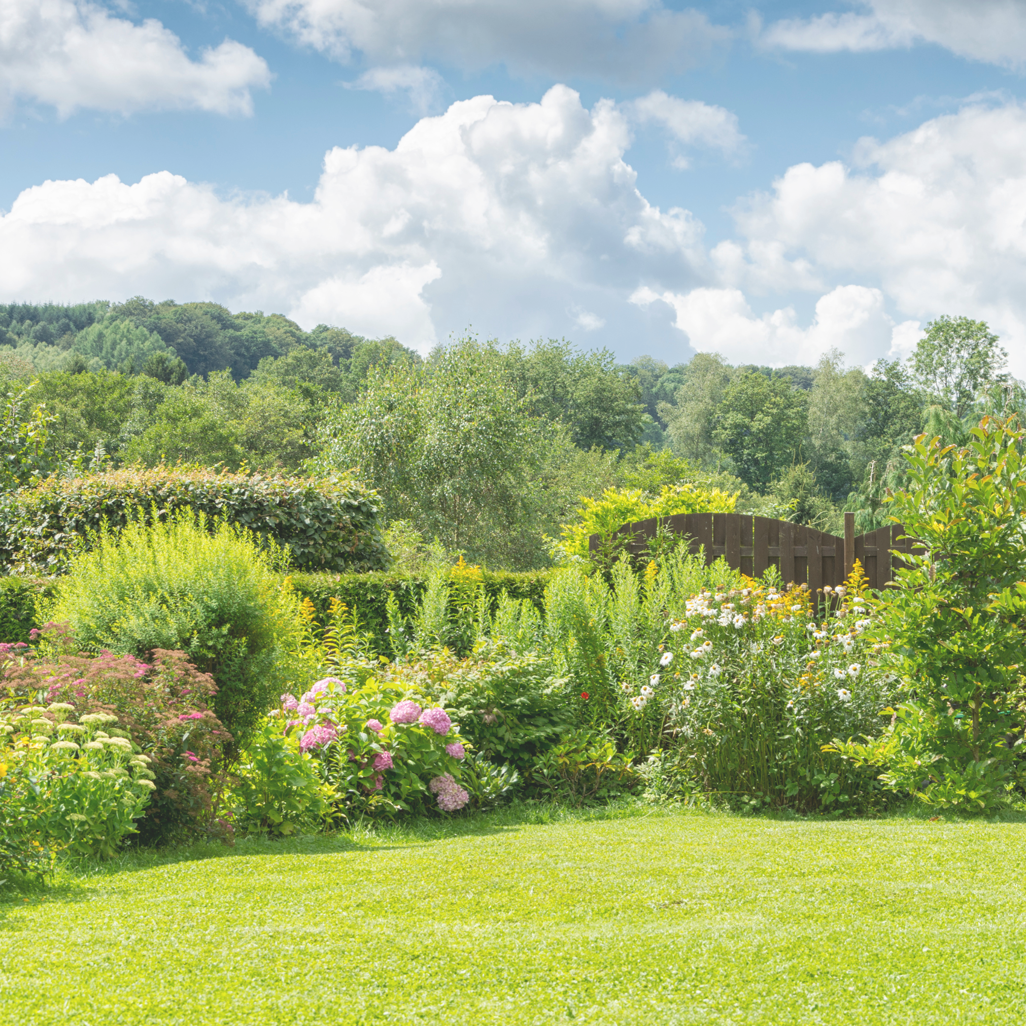 🌳 JOURNEY TO YOUR SACRED GARDEN. This guided meditation invites you into a serene inner garden, a place of stillness and renewal. Here you can reconnect with your breath, your body, and the quiet magic of nature that restores balance within. (10 min
